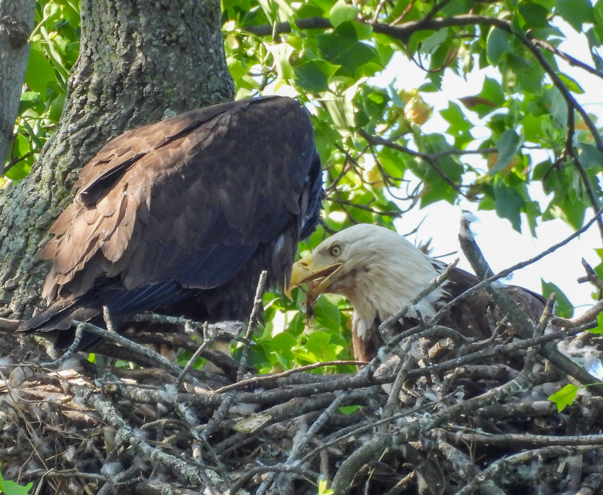 May 1 - Feeding time