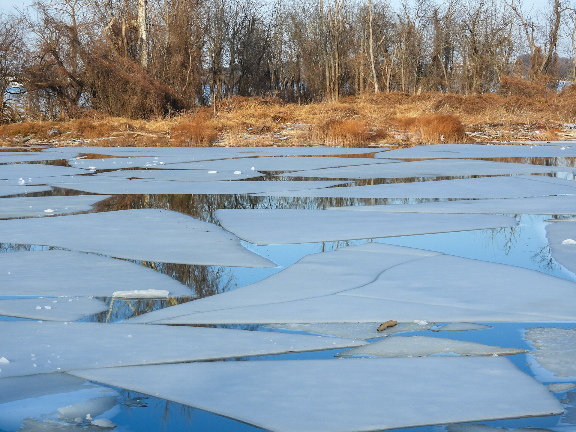 The spring thaw begins.