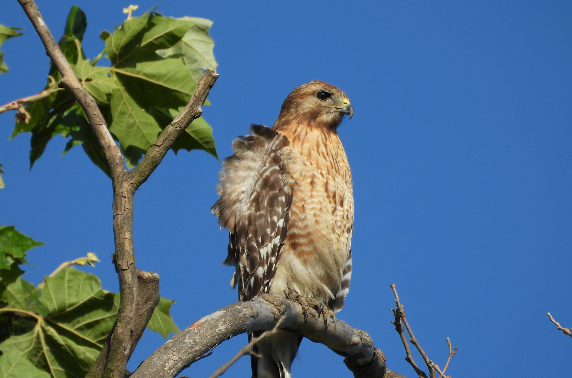 June 7 - Parent nearby