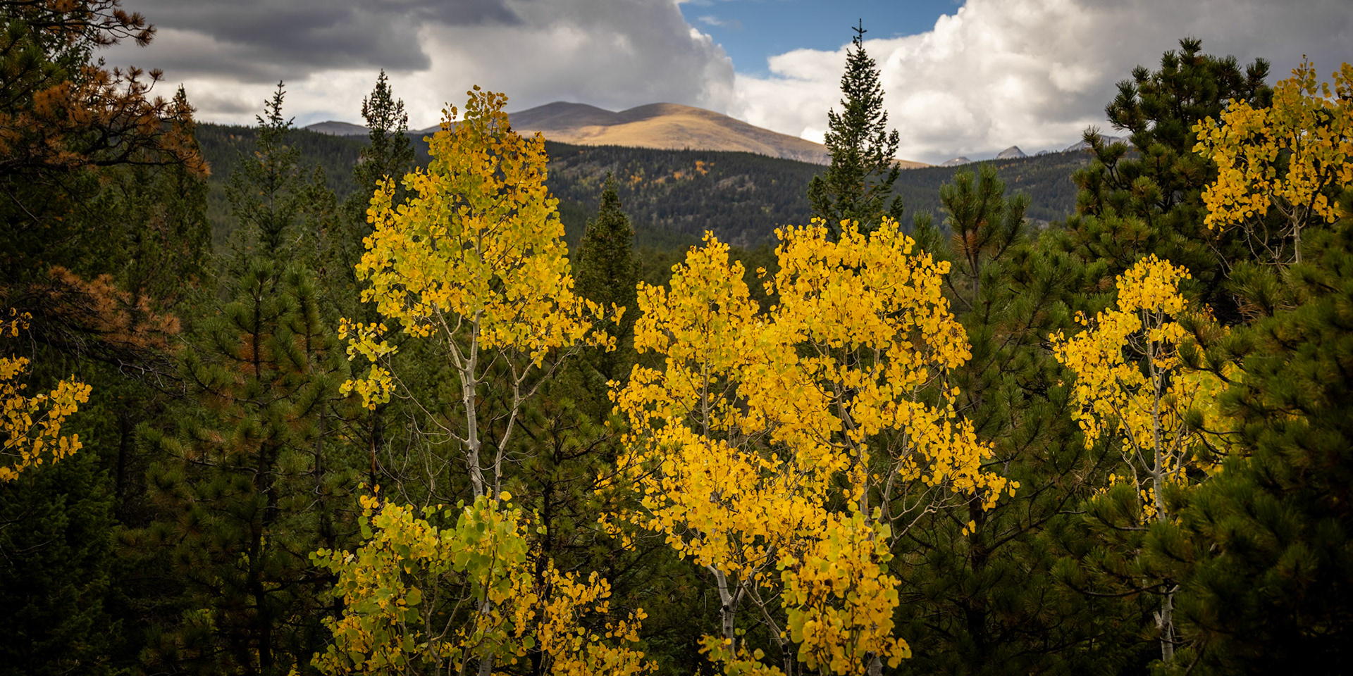 Fall in Colorado