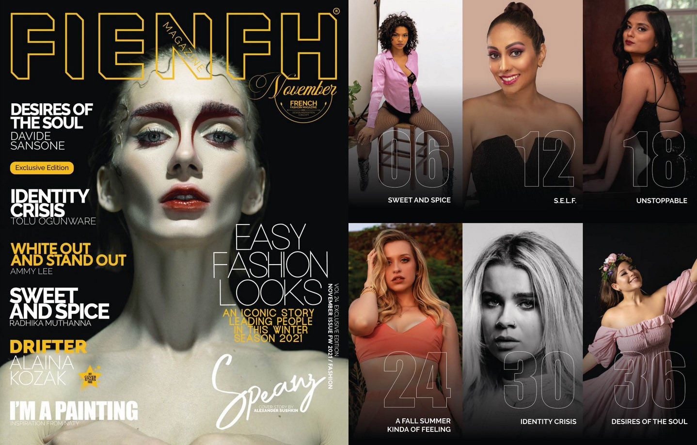 Fienfh Magazine : November vol 24