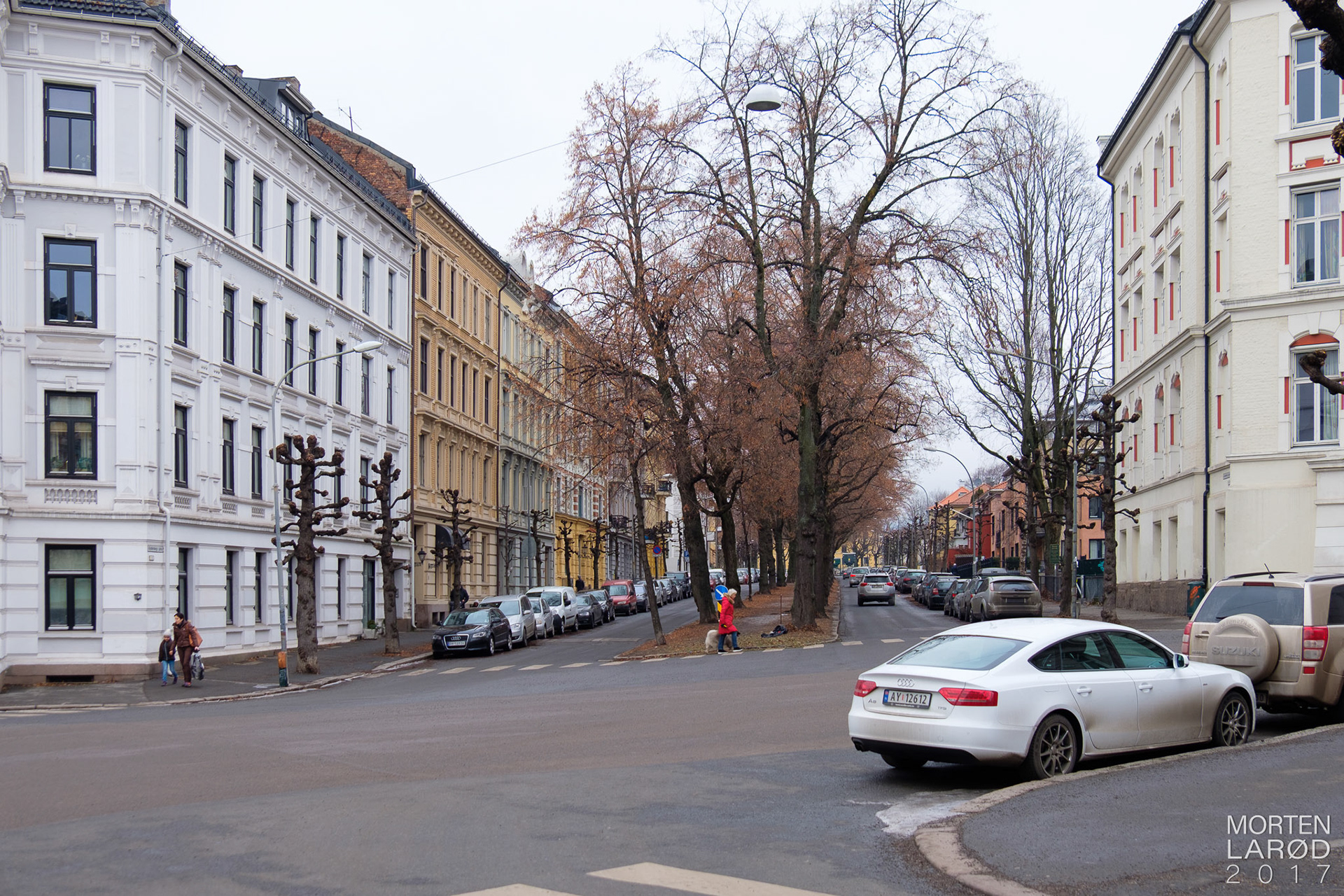 Foto 2017: Morten Mitchell Larød