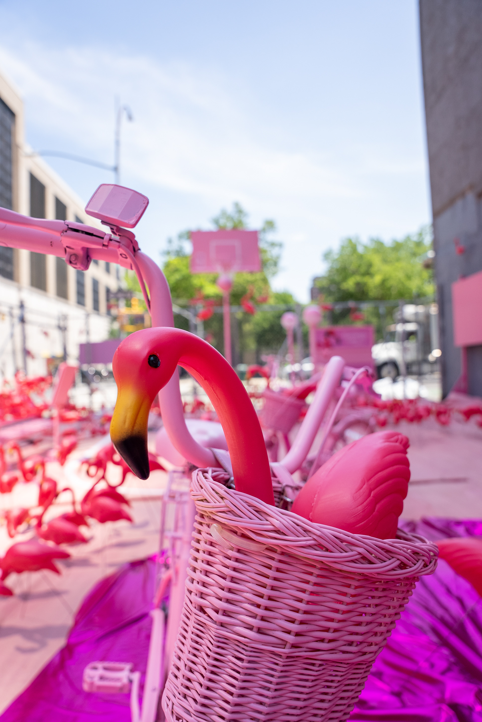 Flamingo Razors NYC Popup