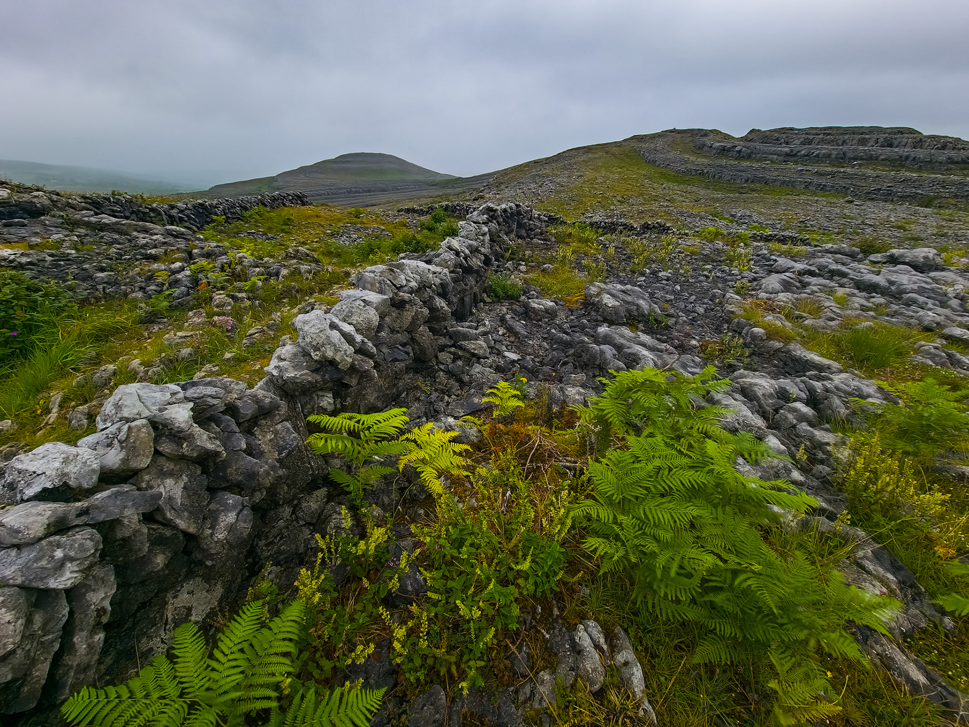 Burren NP
