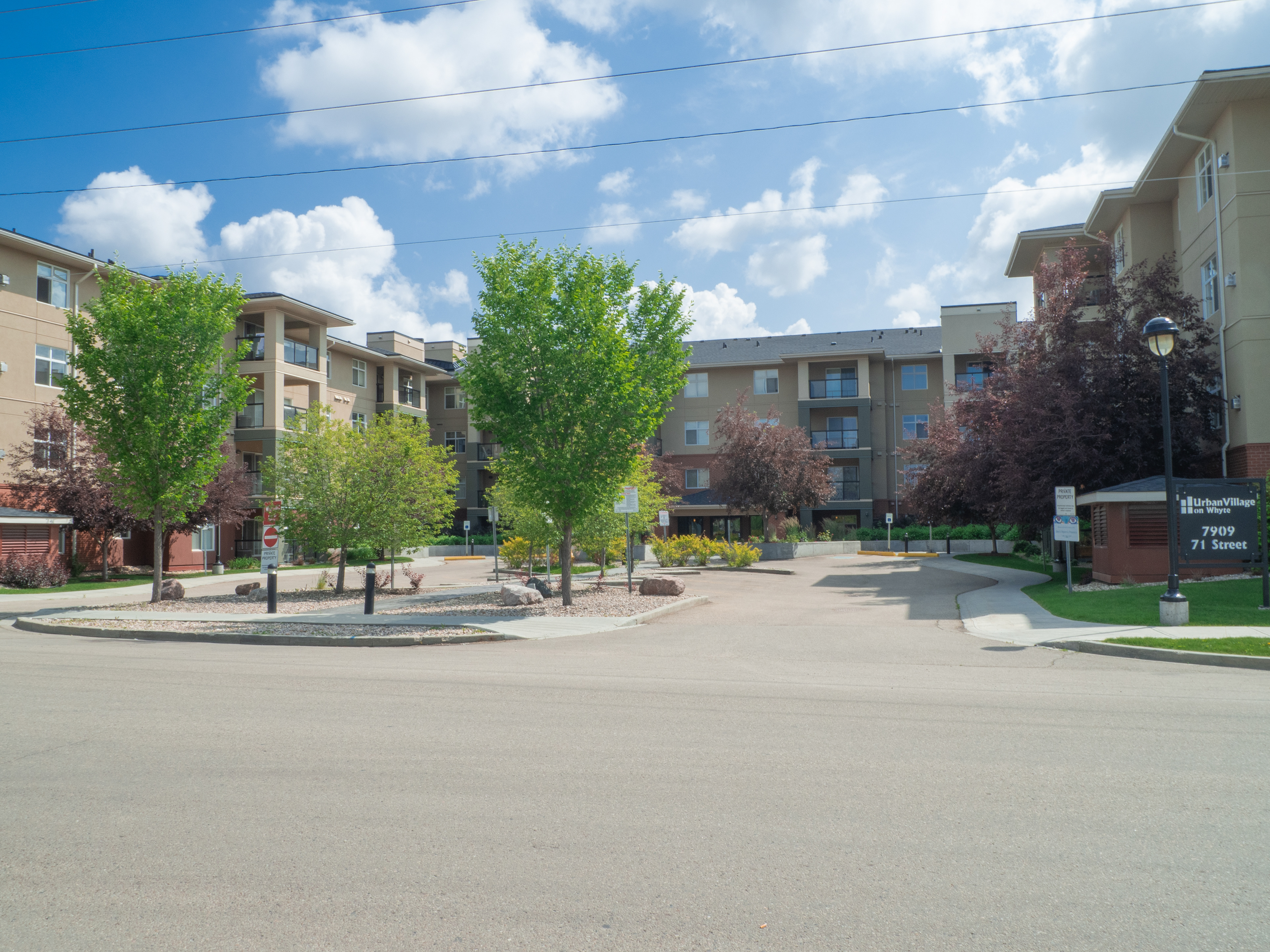 Urban Village on Whyte Landscaping