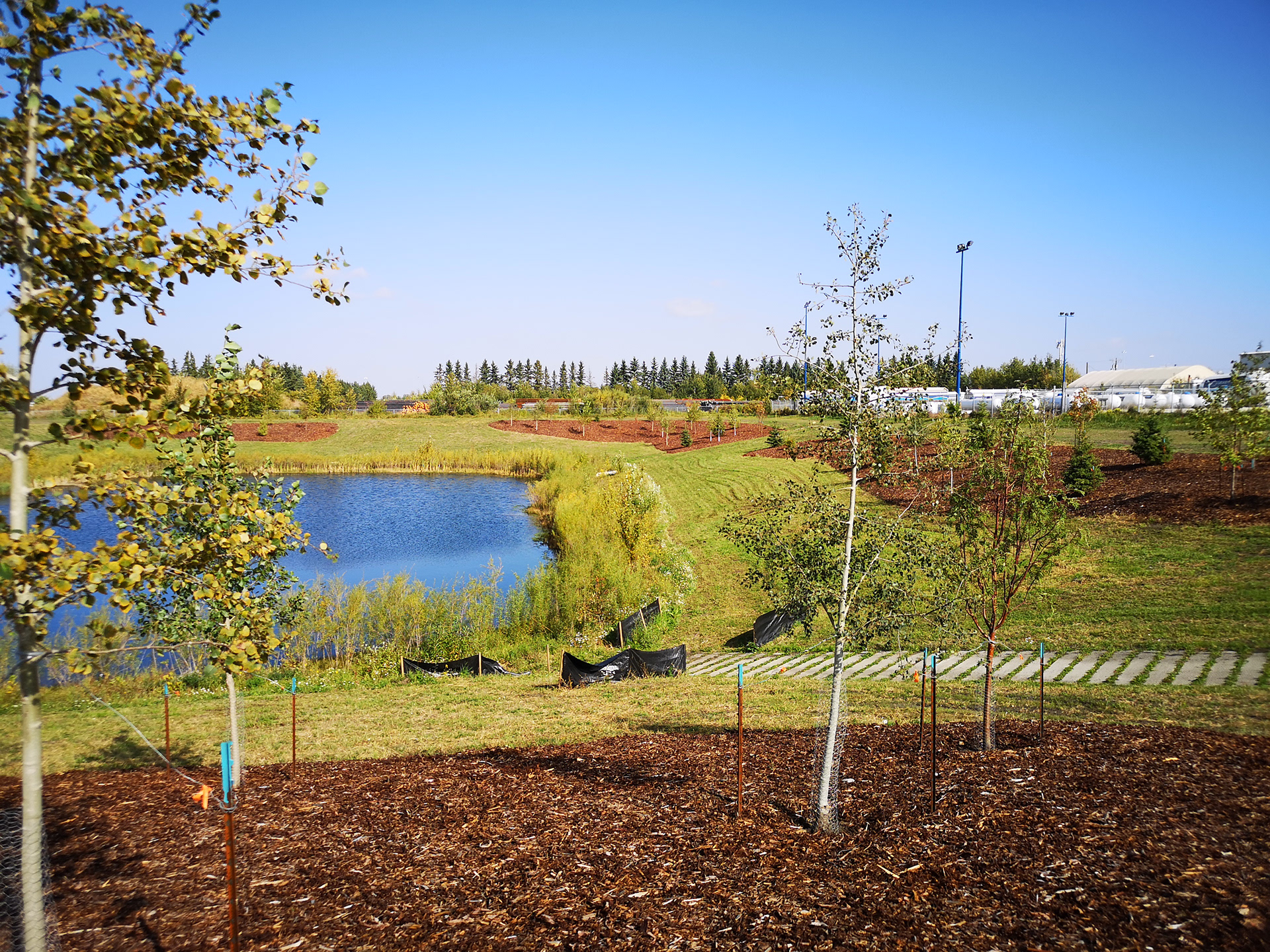 Storm Water Management Facility