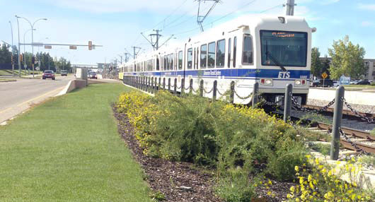 South Light Rail Transit (SLRT) Capital Line