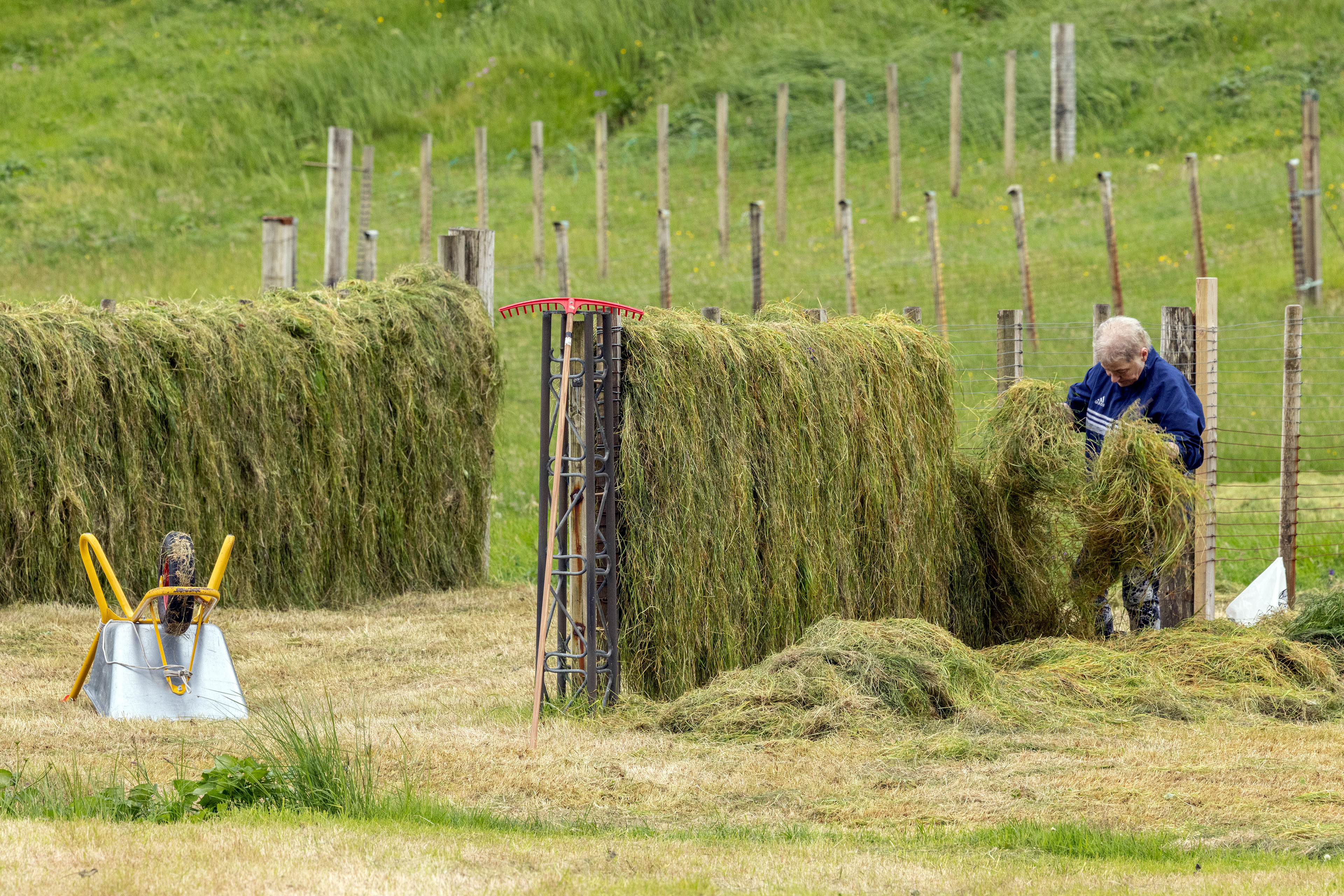 Faroe Islands (2022)