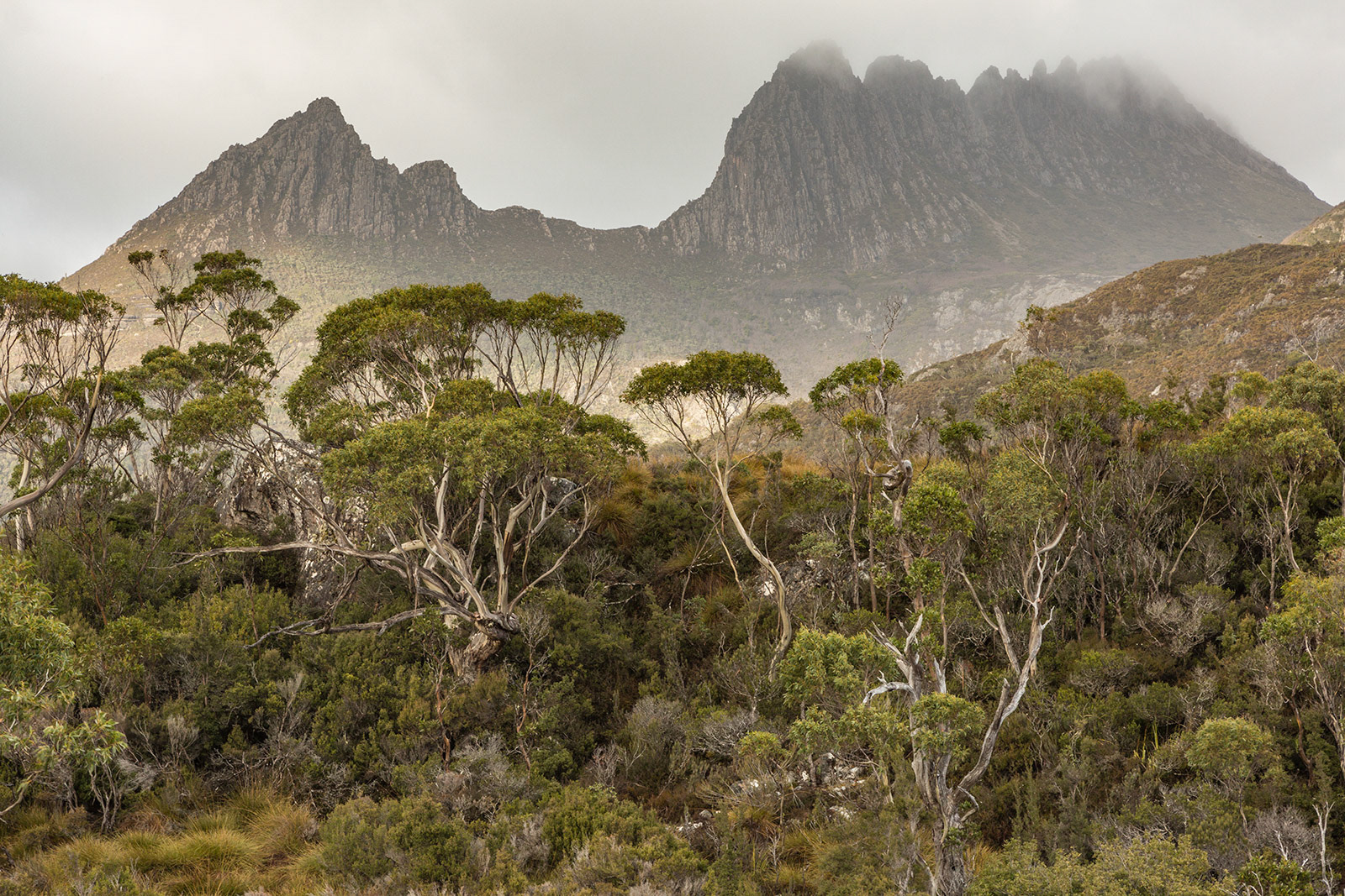 Tasmania, Australia (2017)