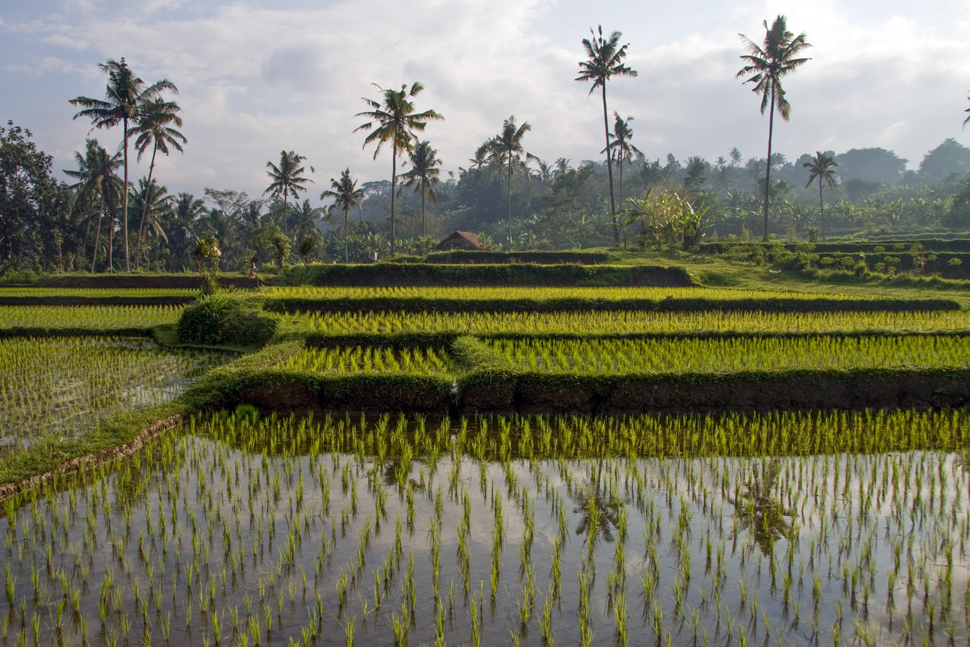 Bali, Indonesia (2009)