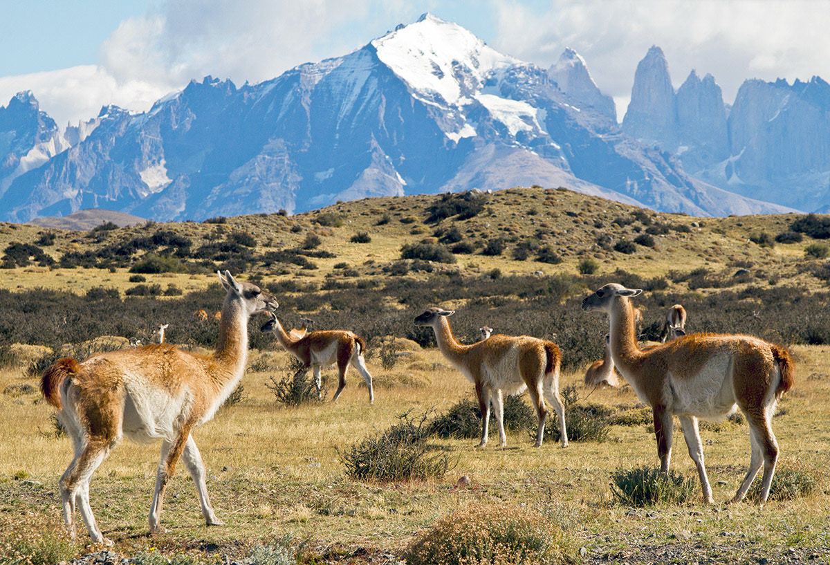 Chilean Patagonia (2012)