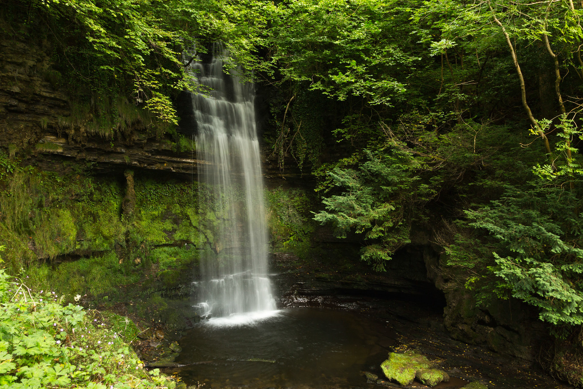 Glencar Falls, Ireland (2015)