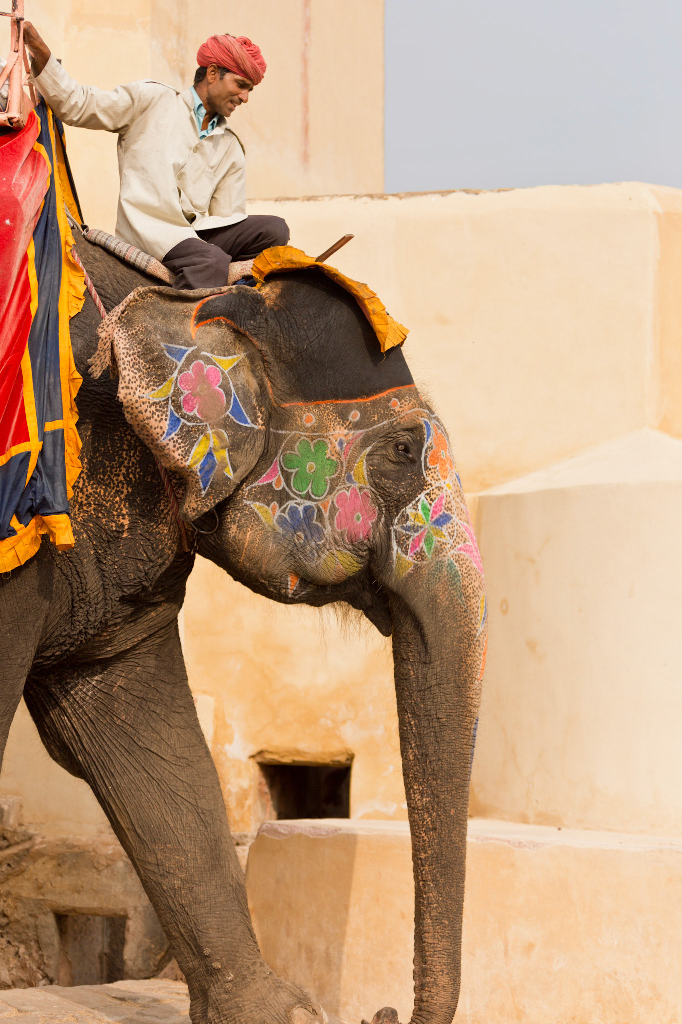 Rajasthan, India (2015)