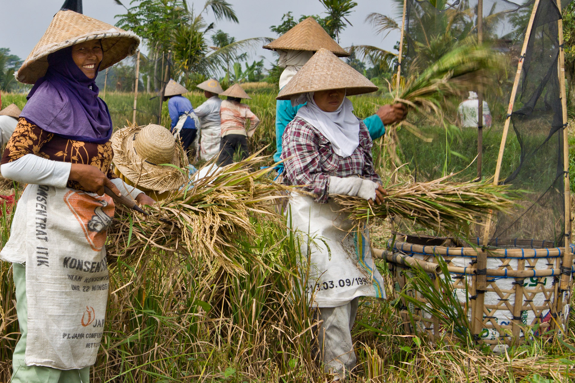 Bali, Indonesia (2009)