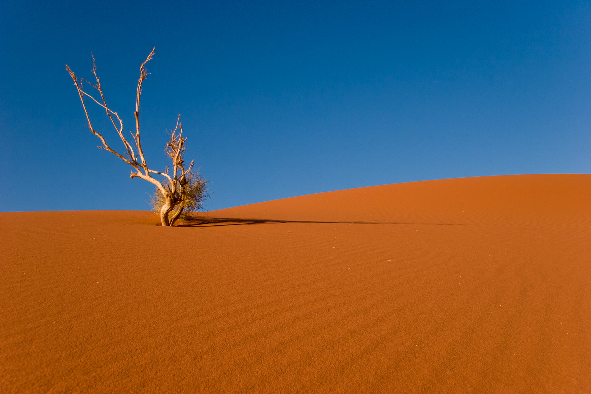 Wadi Rum, Jordan (2008)