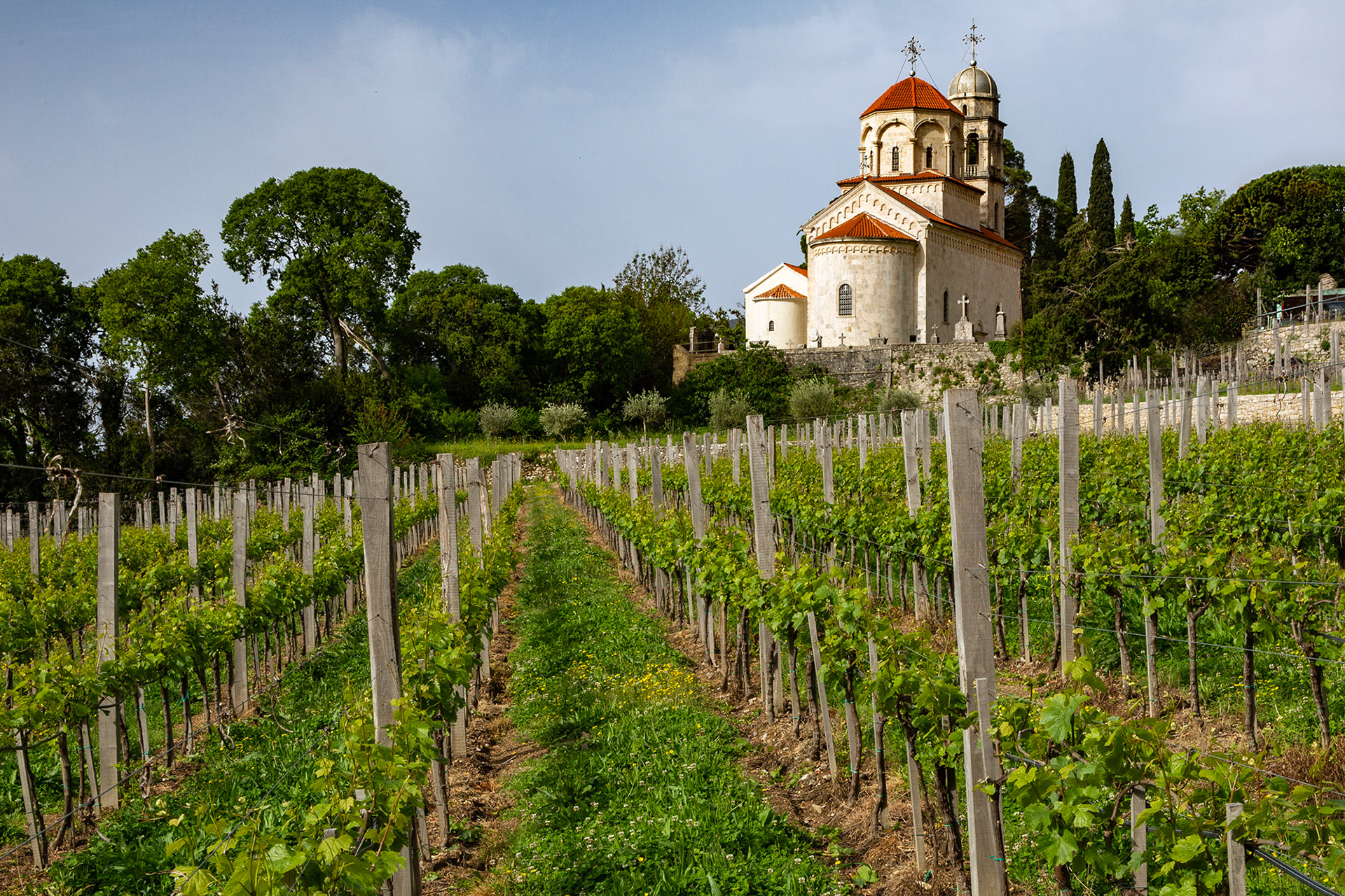 Savina, Montenegro (2019)