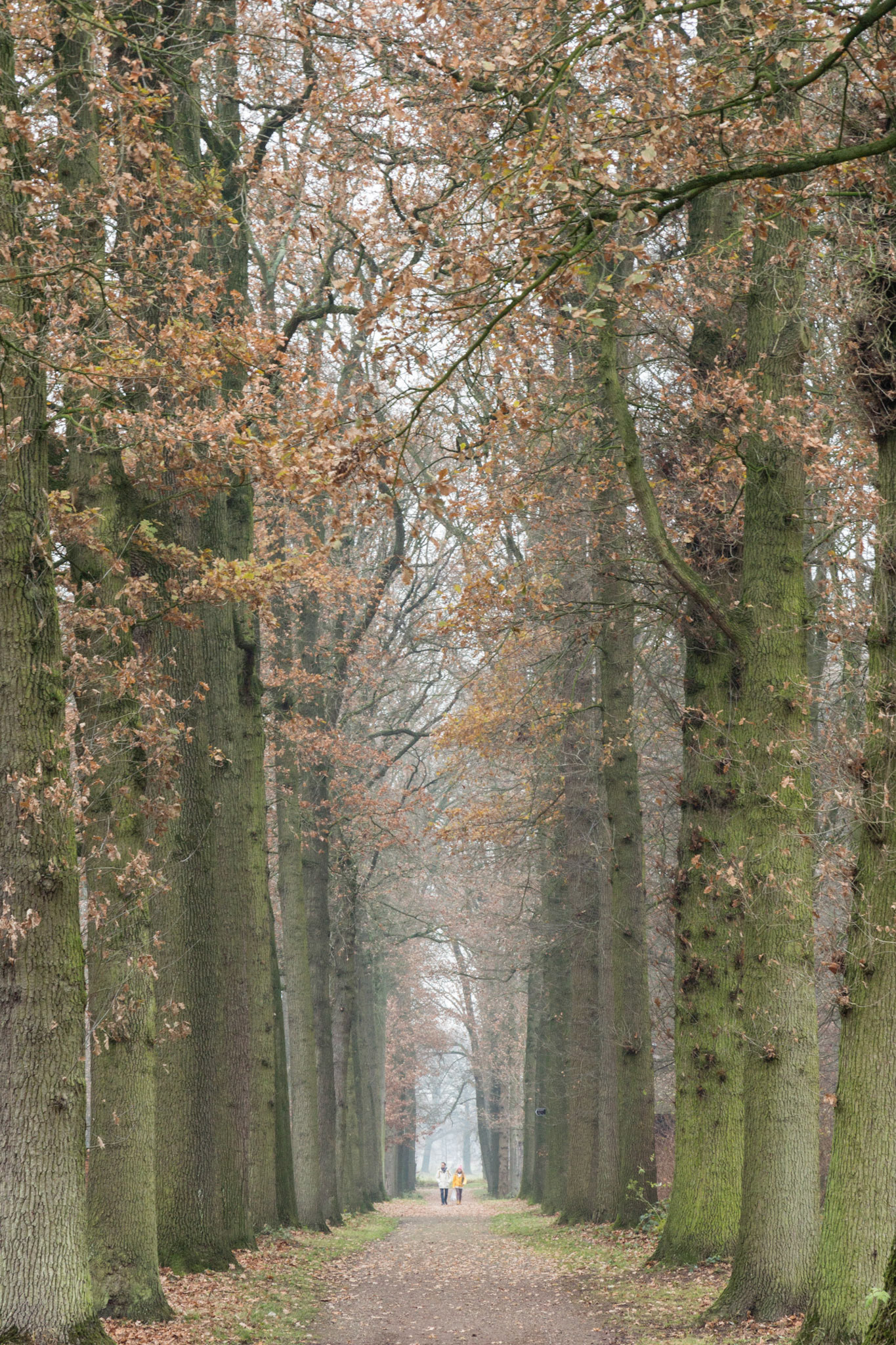 Amsterdam, Netherlands (2016)