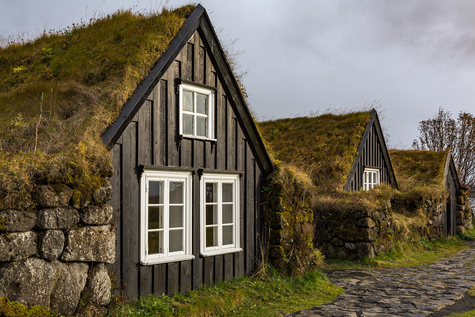 Skogar, Iceland (2017)