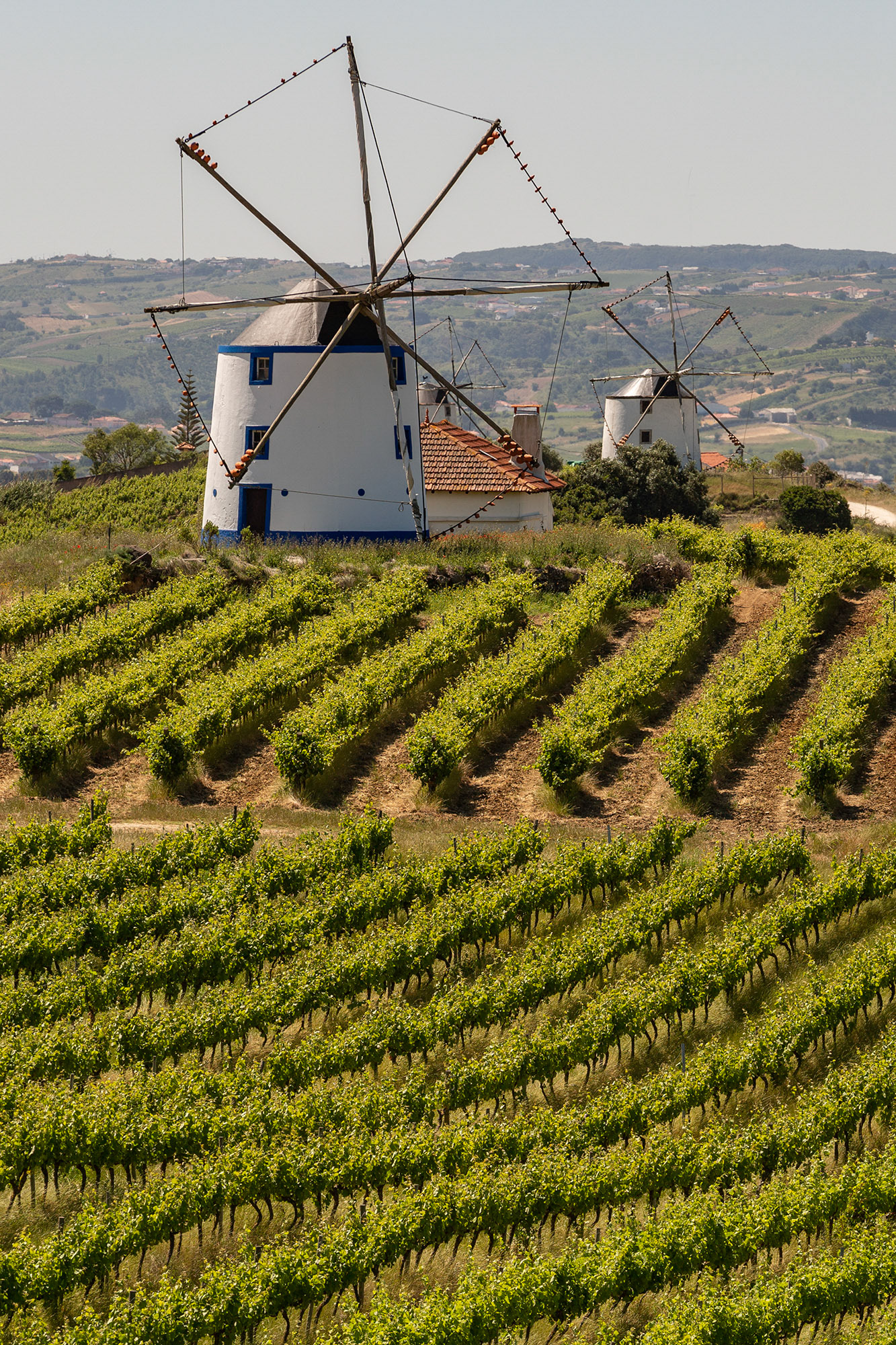 Alenquer, Portugal (2019)