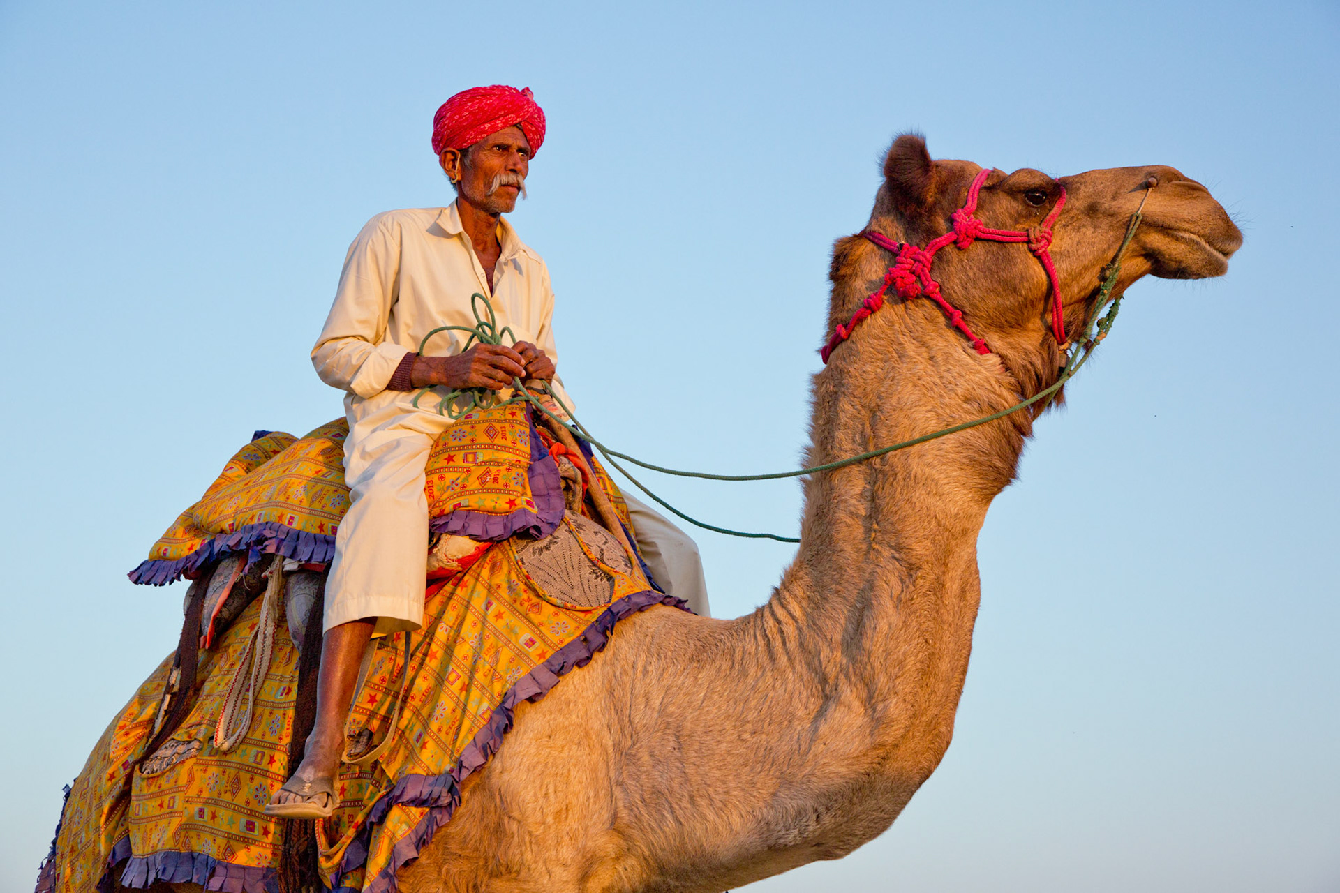 Rajasthan, India (2015)