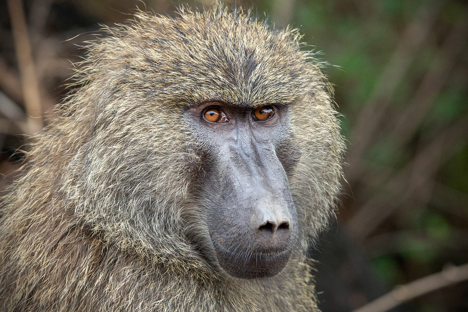 Lake Manyara, Tanzania (2018)