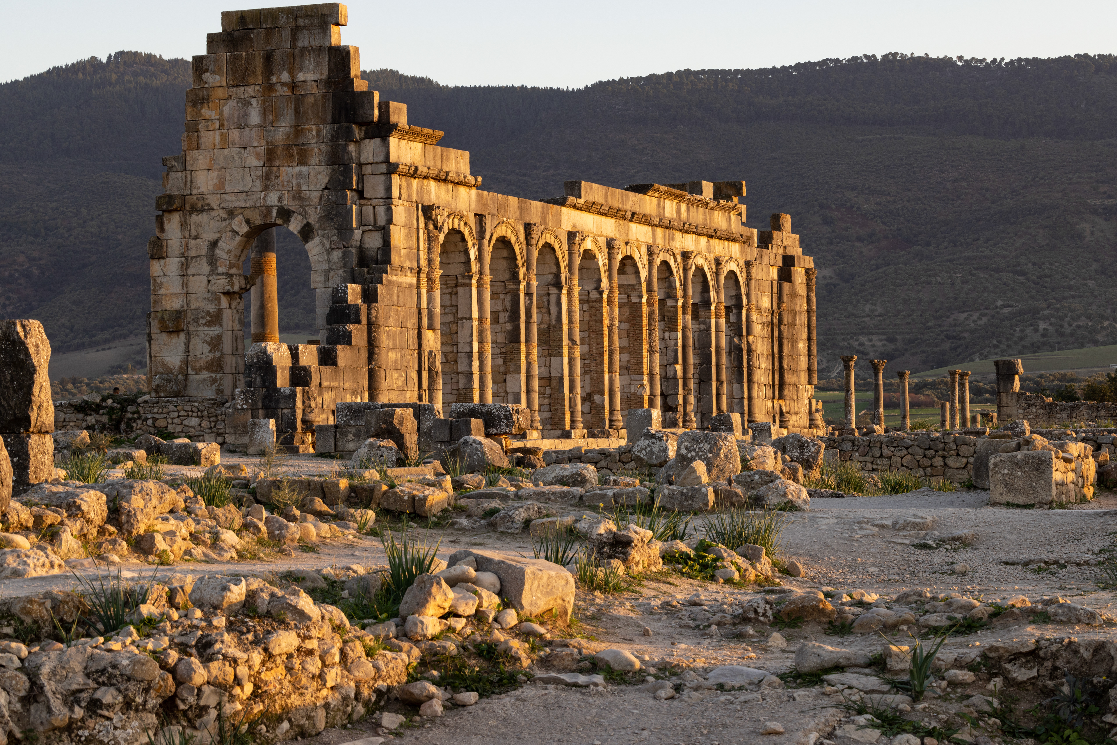 Volubilis, Morocco (2023)