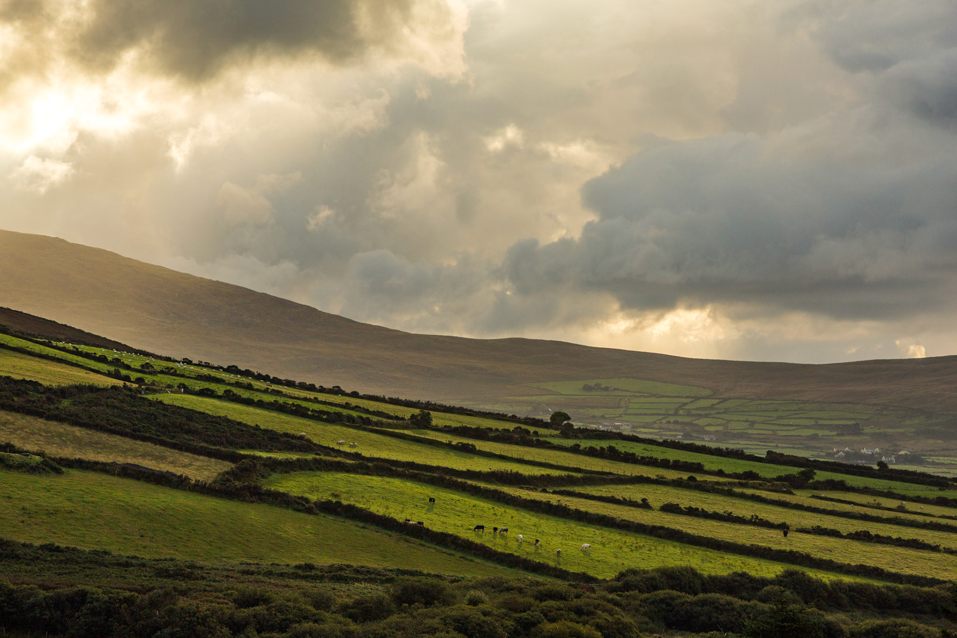 Dingle Peninsula, Ireland (2015)
