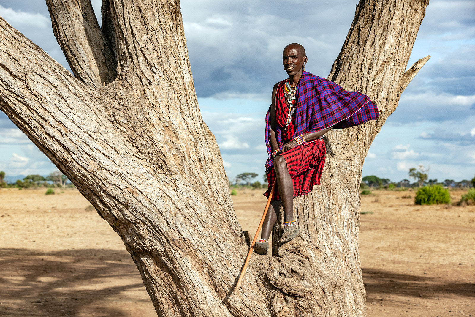 Amboseli, Kenya (2018)