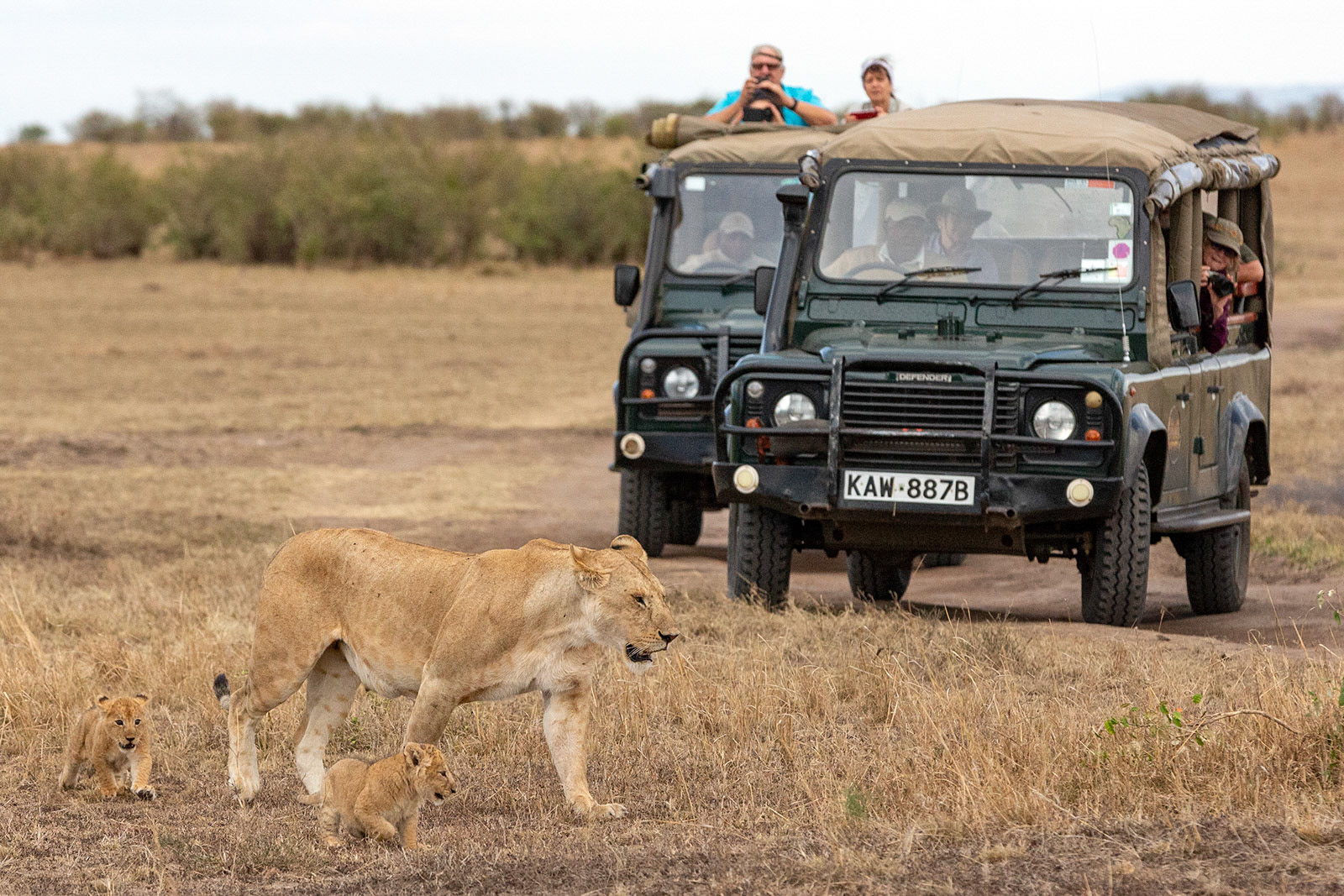 Masai Mara, Kenya (2018)