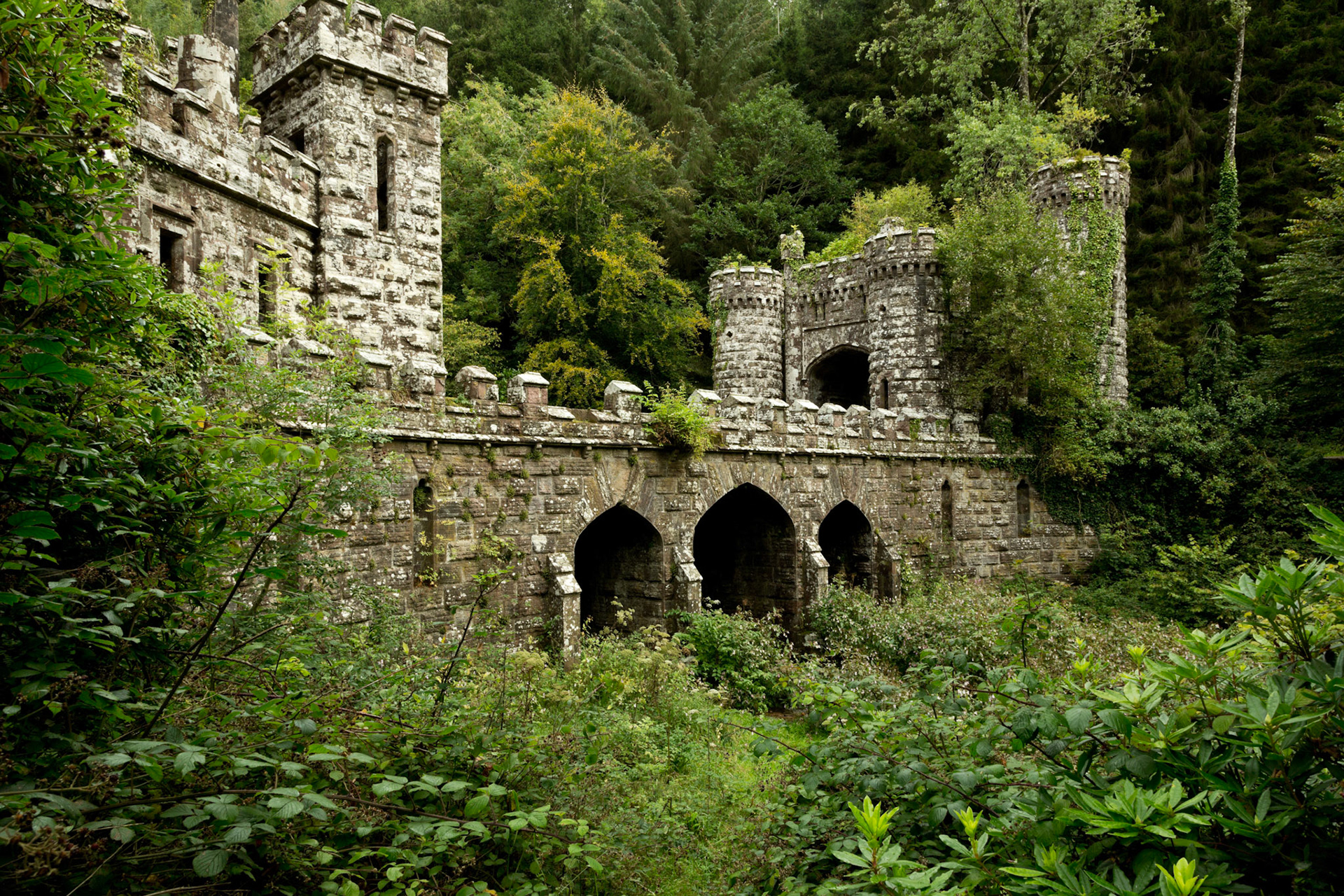 Co. Waterford, Ireland (2015)
