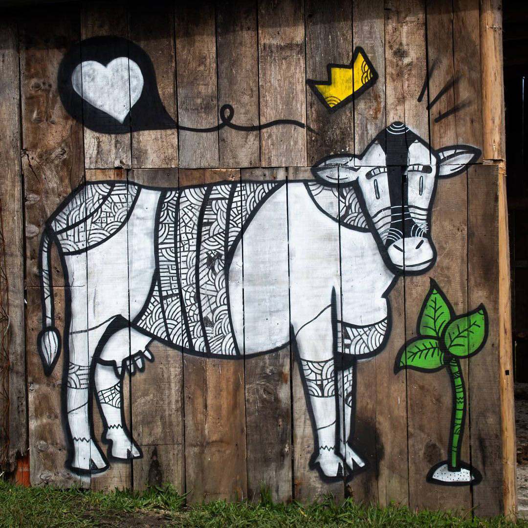 Cow - 2021