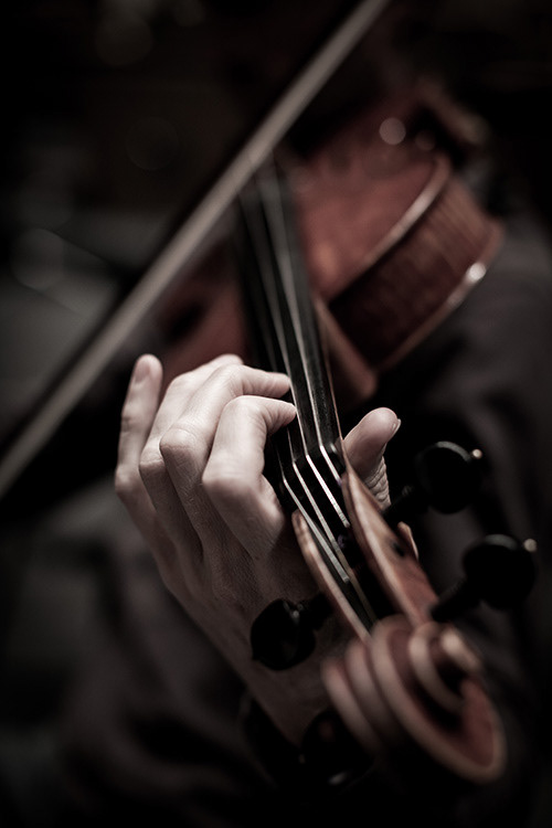 Jerome Ireland, viola