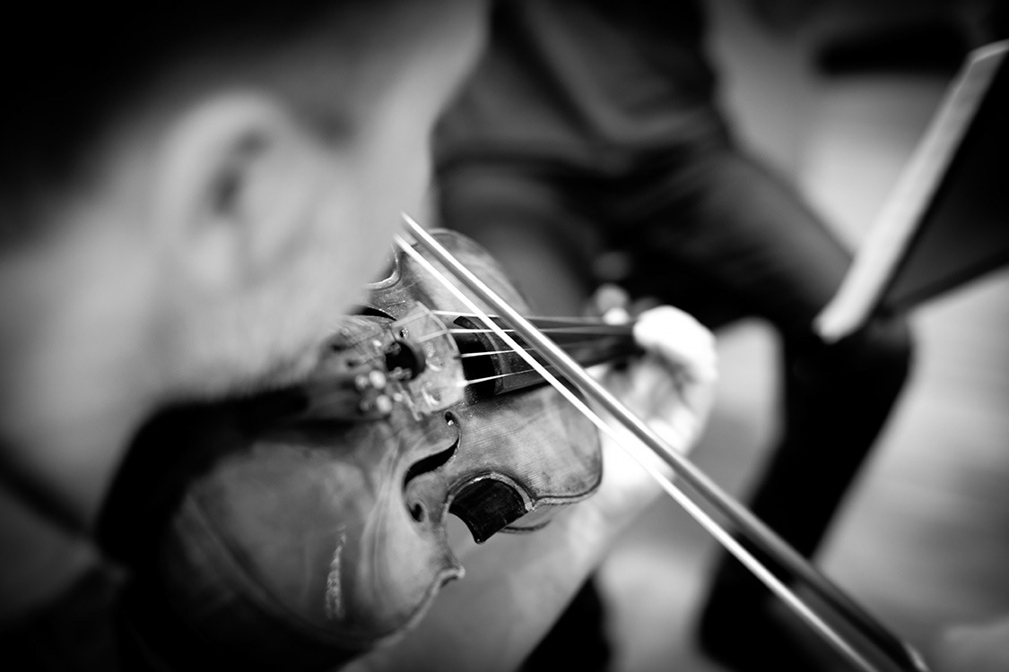 Vladimir Dmitrienco, violin