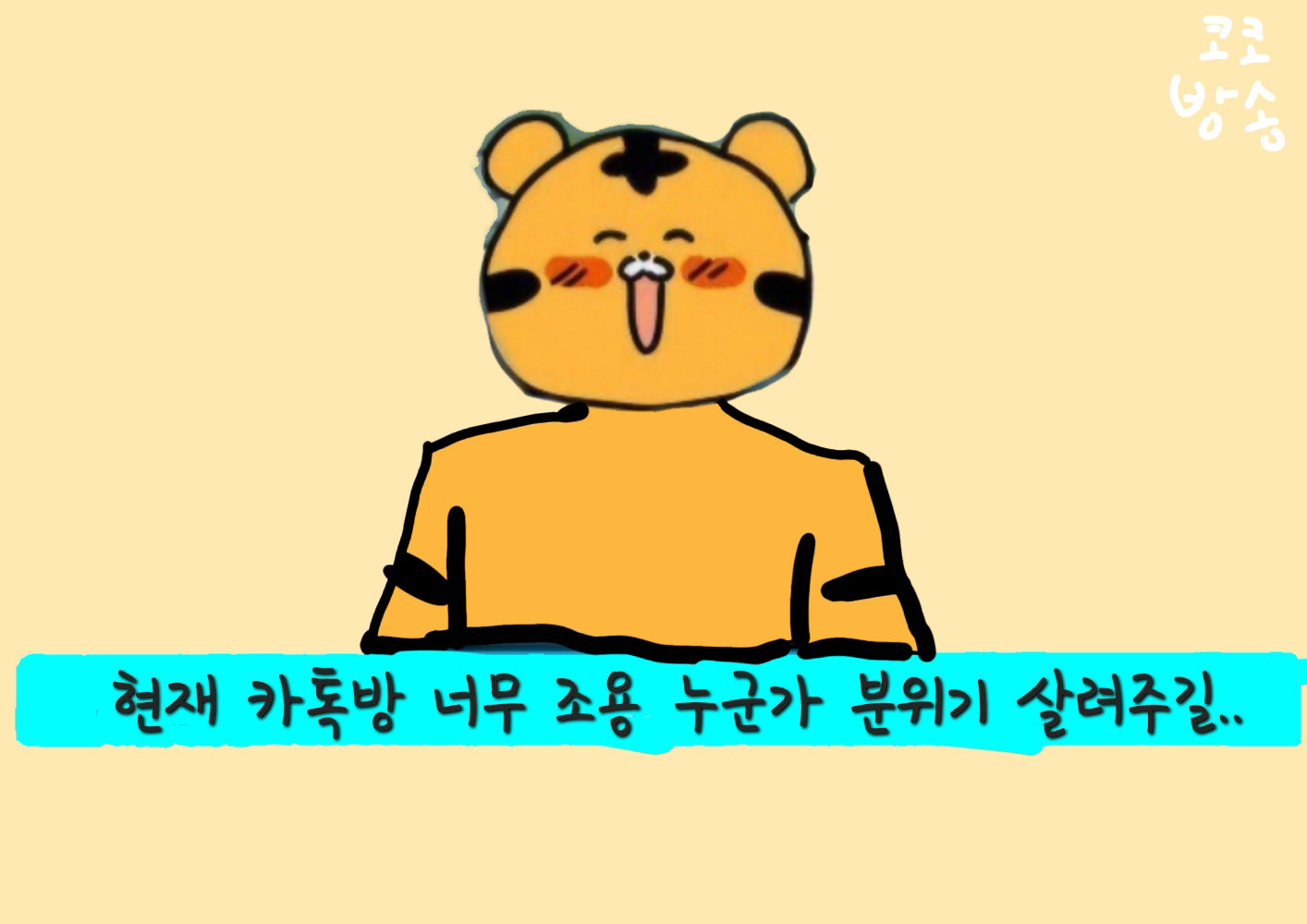 민트코코