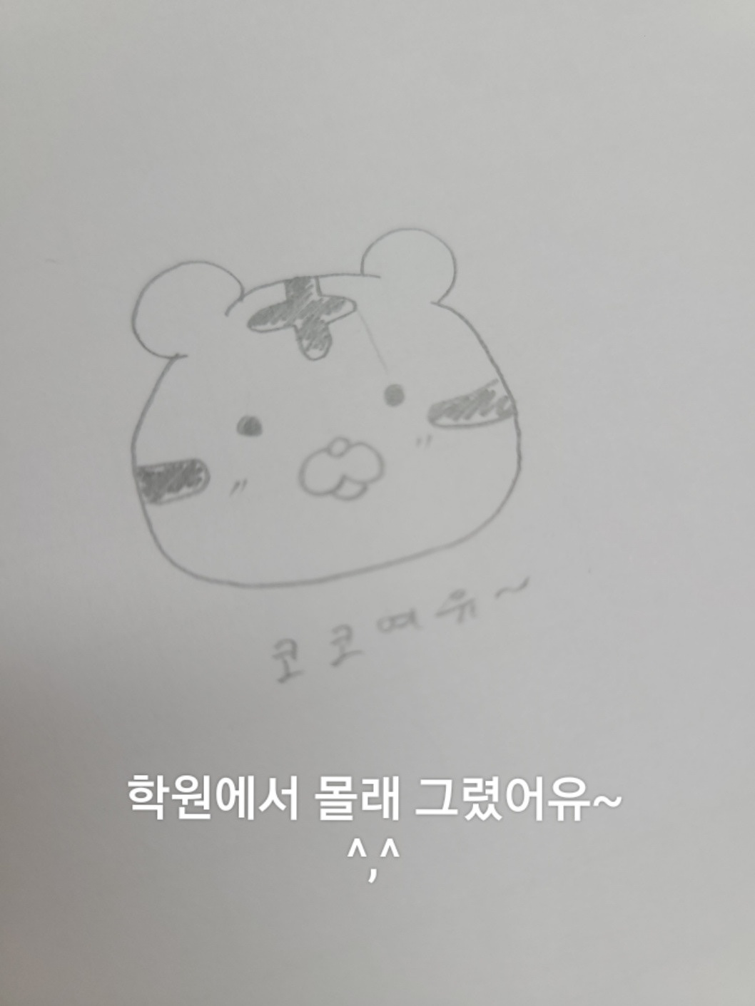 코코콧구멍