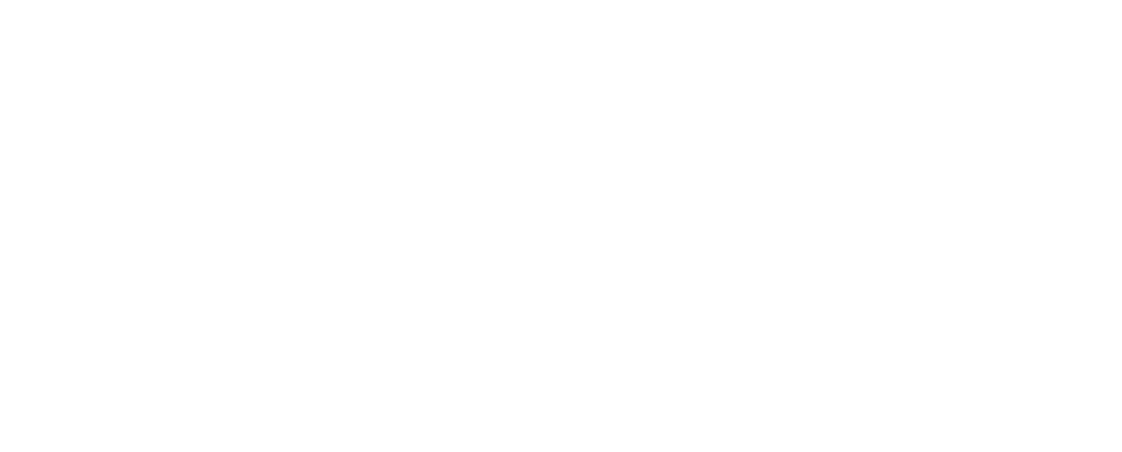 FLIPSIDE NY Logo