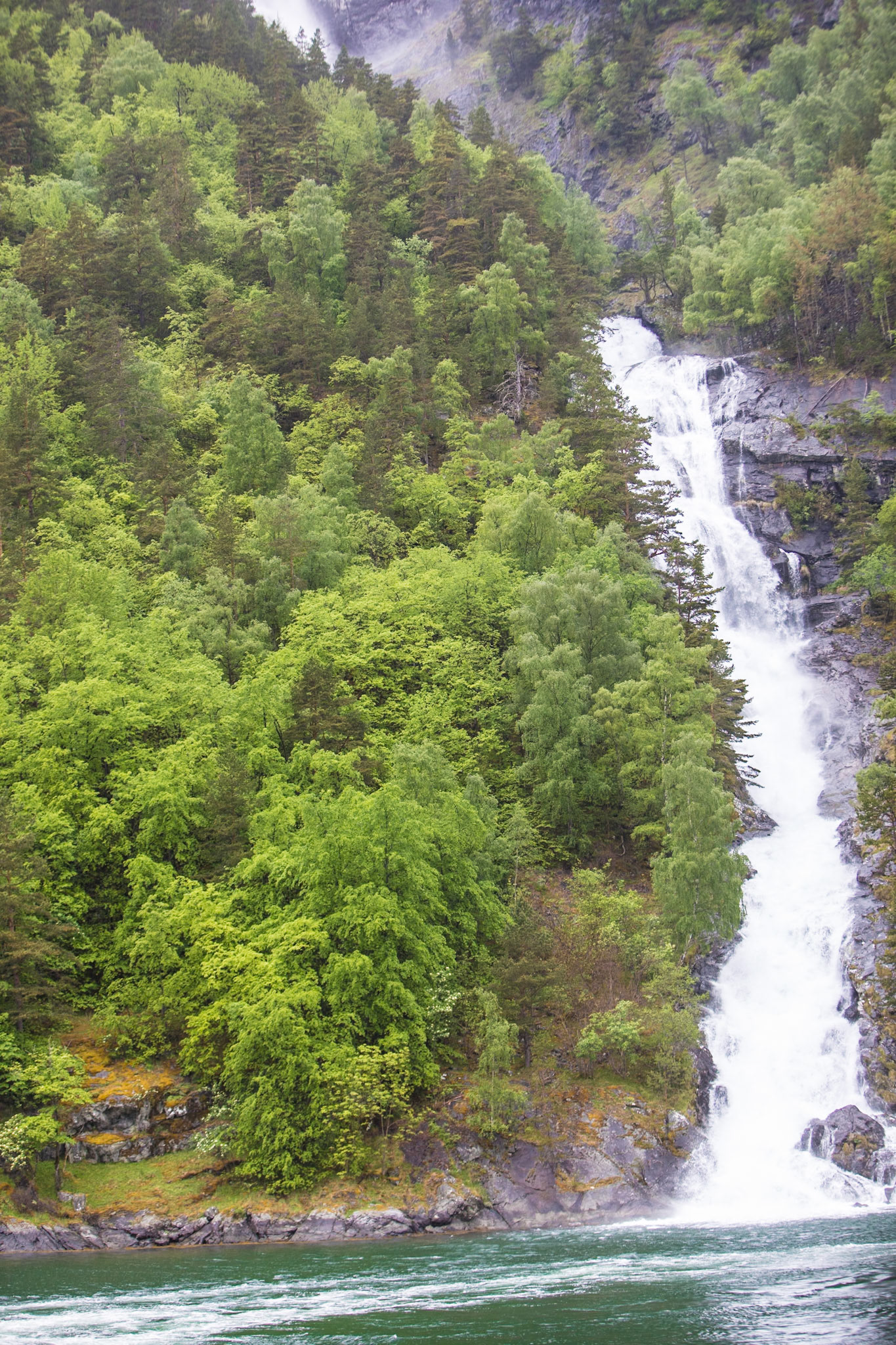 Views from Fjord Trip