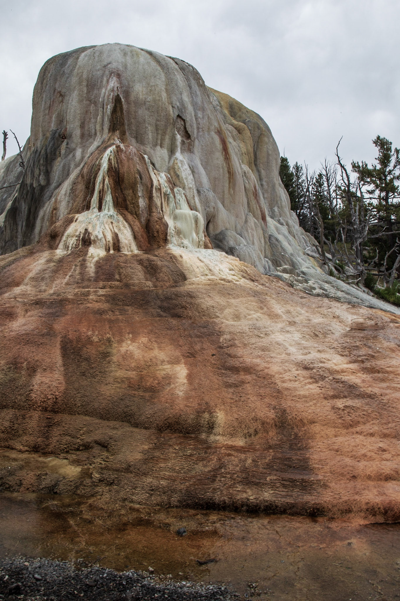 Limestone-Yellowstone National Park, Wyoming