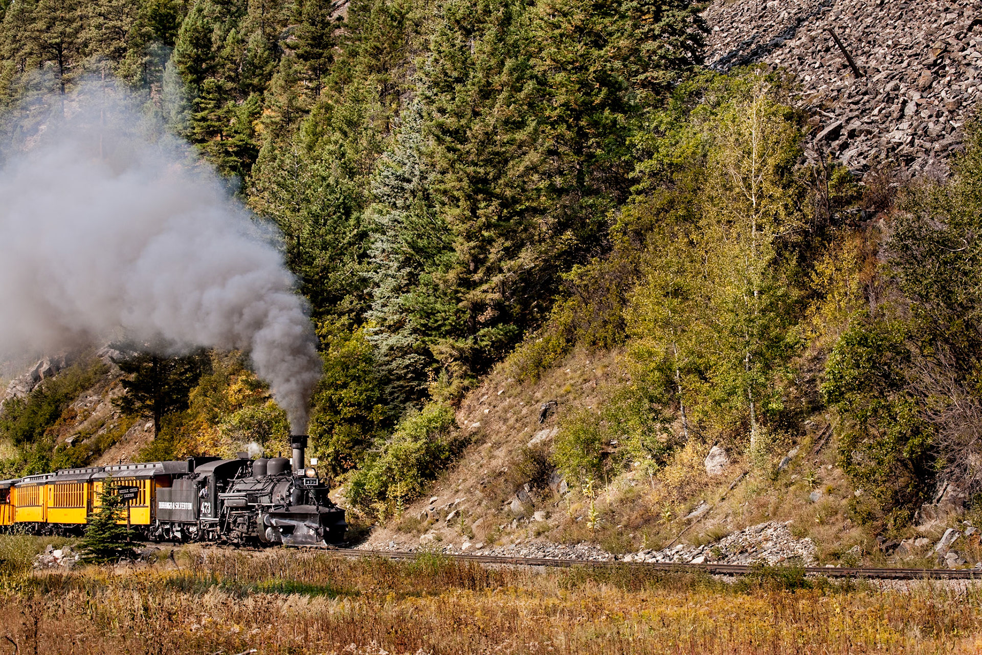 Steam train through Scenery near Durango, Colorado