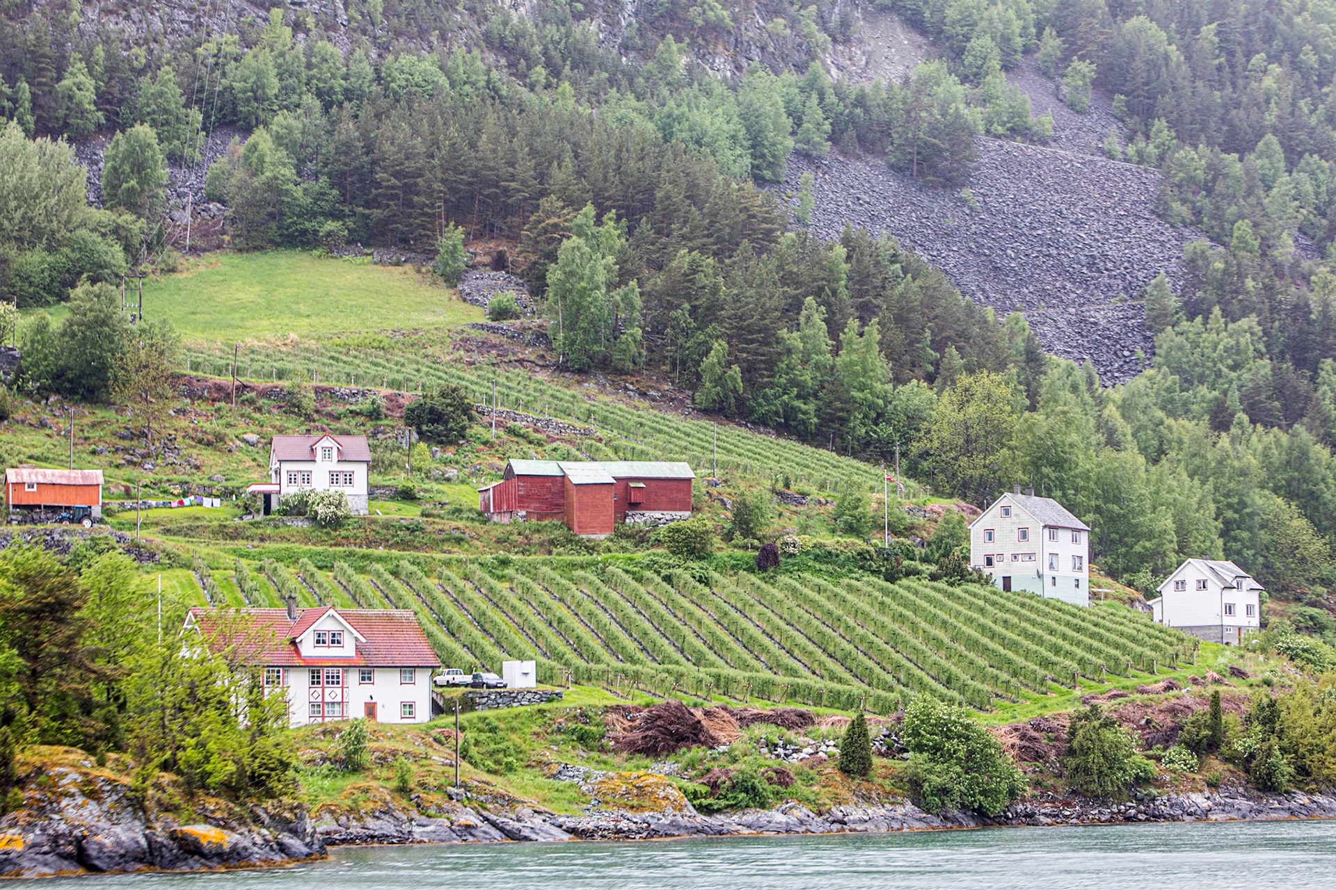 Views from Fjord Trip
