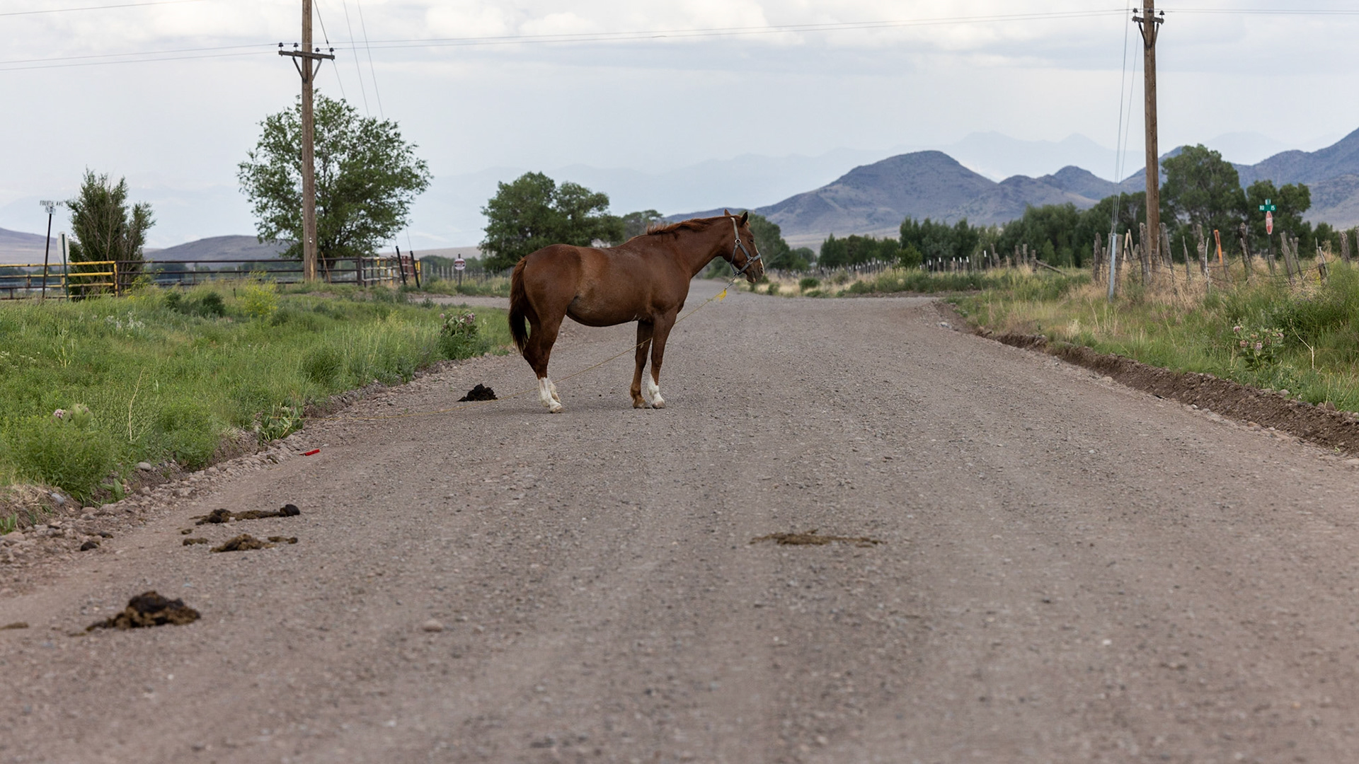 No parking if over 1 horsepower