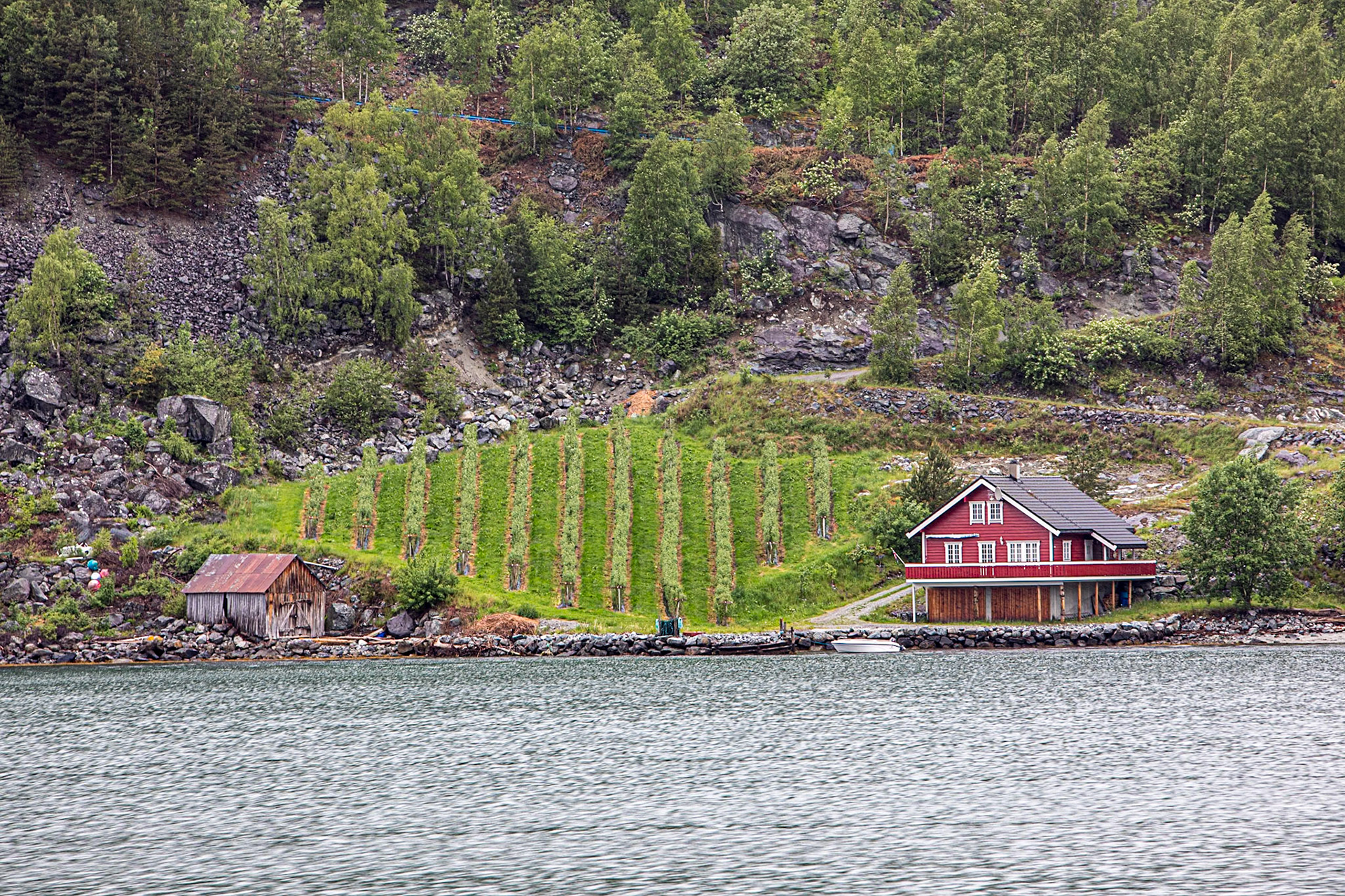 Views from Fjord Trip
