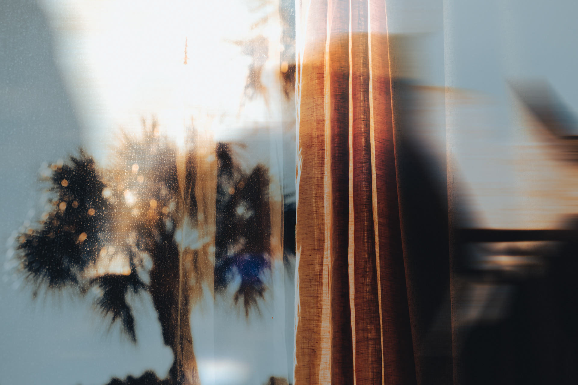 From my window, I see.