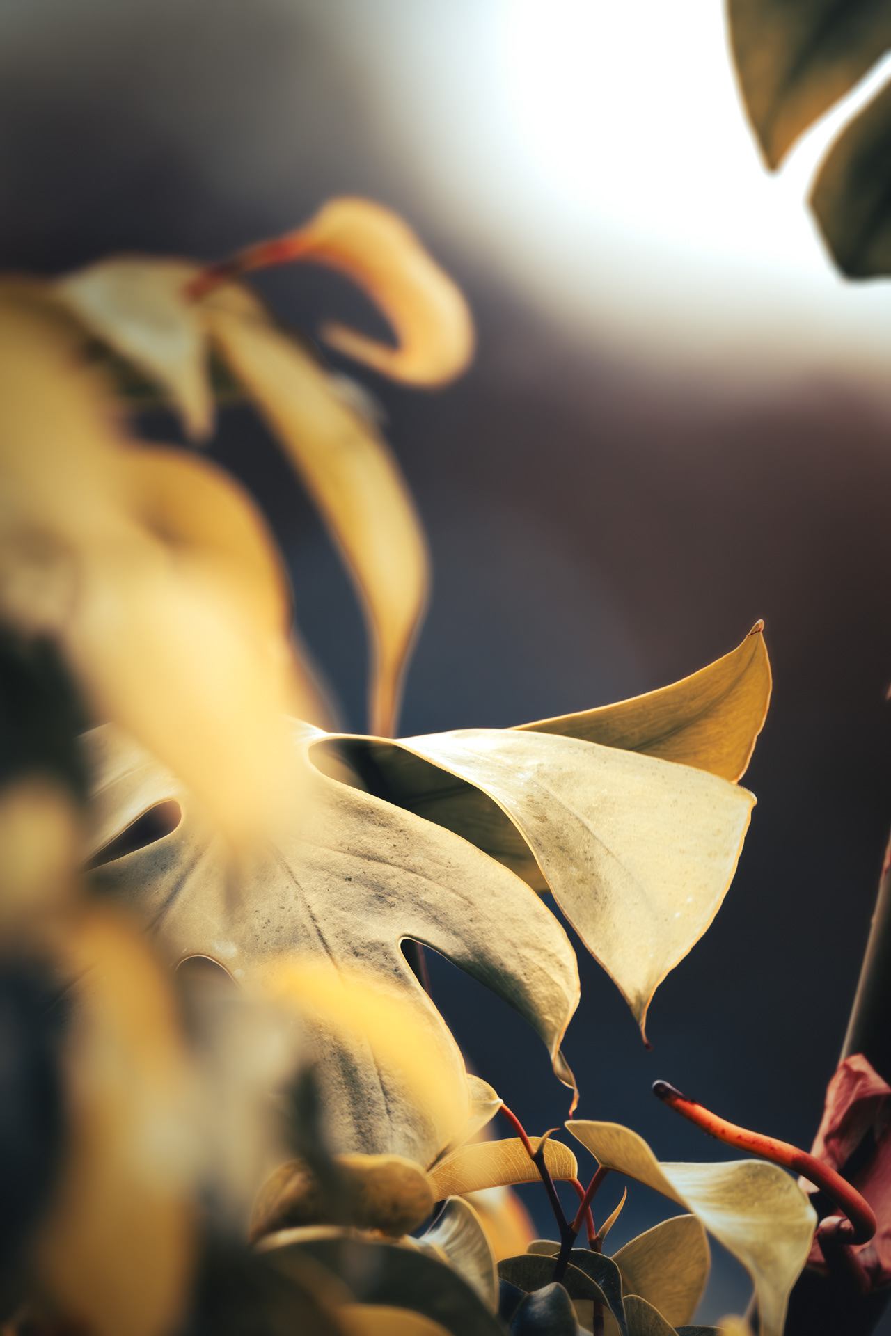 Unfolding