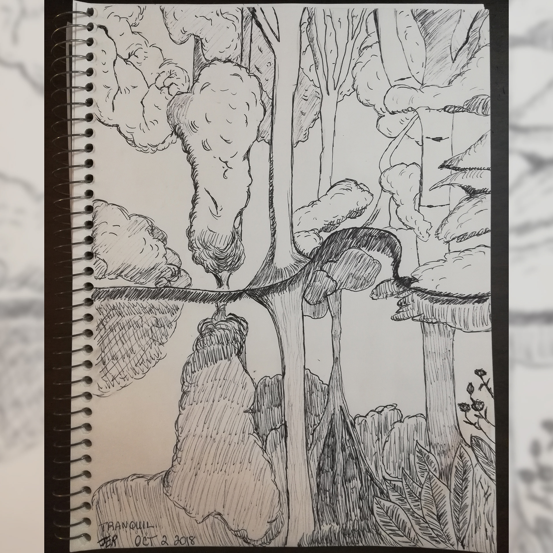 Forest Reflection Inktober Sketch