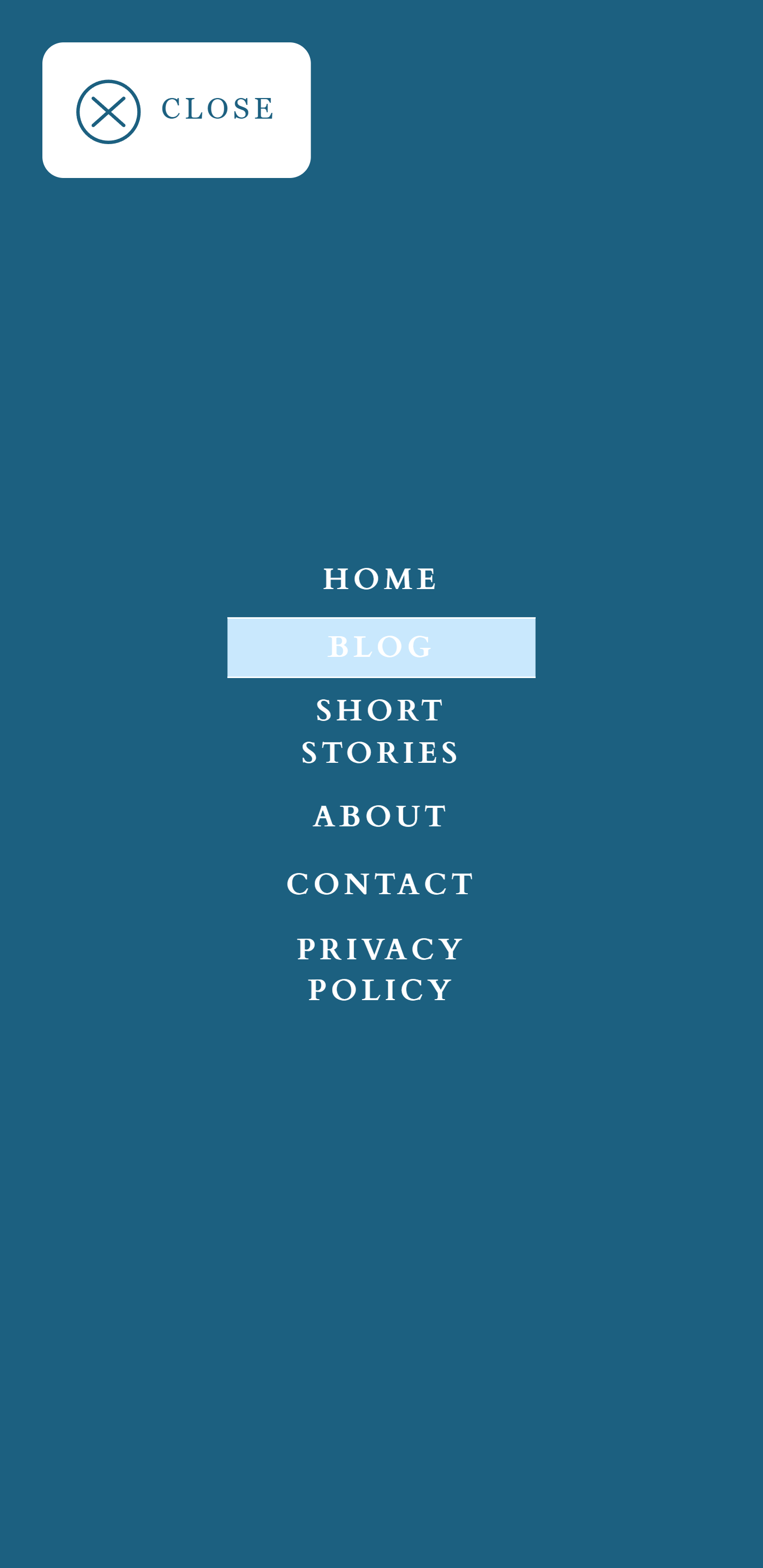 Menu Mobile View