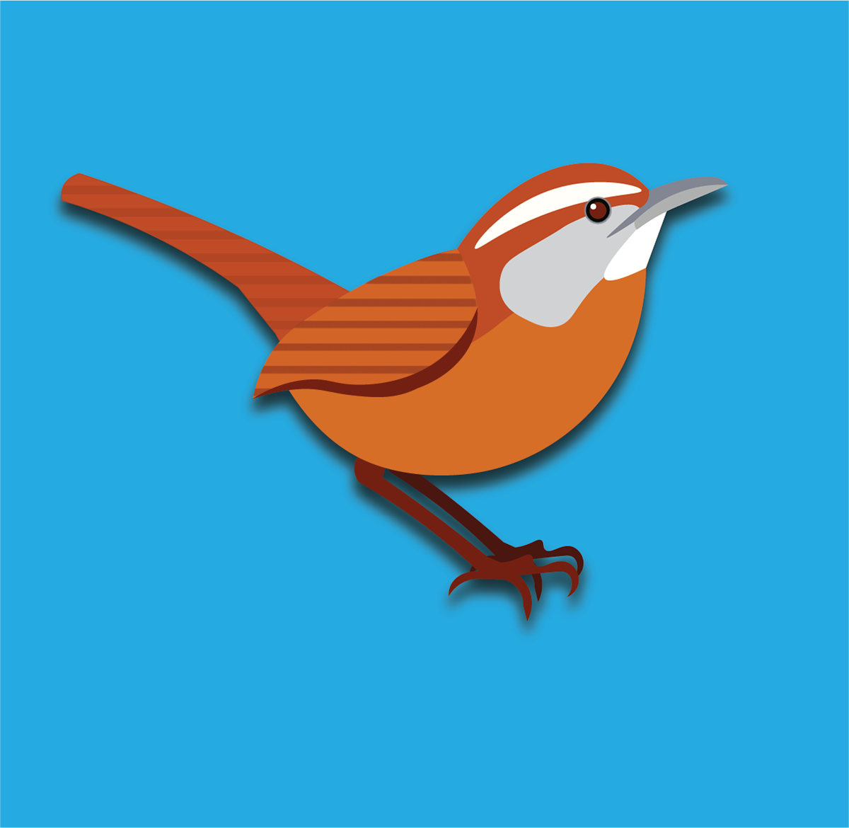Wren Created in Adobe Illustrator for a Commissioned Children's Book Project
