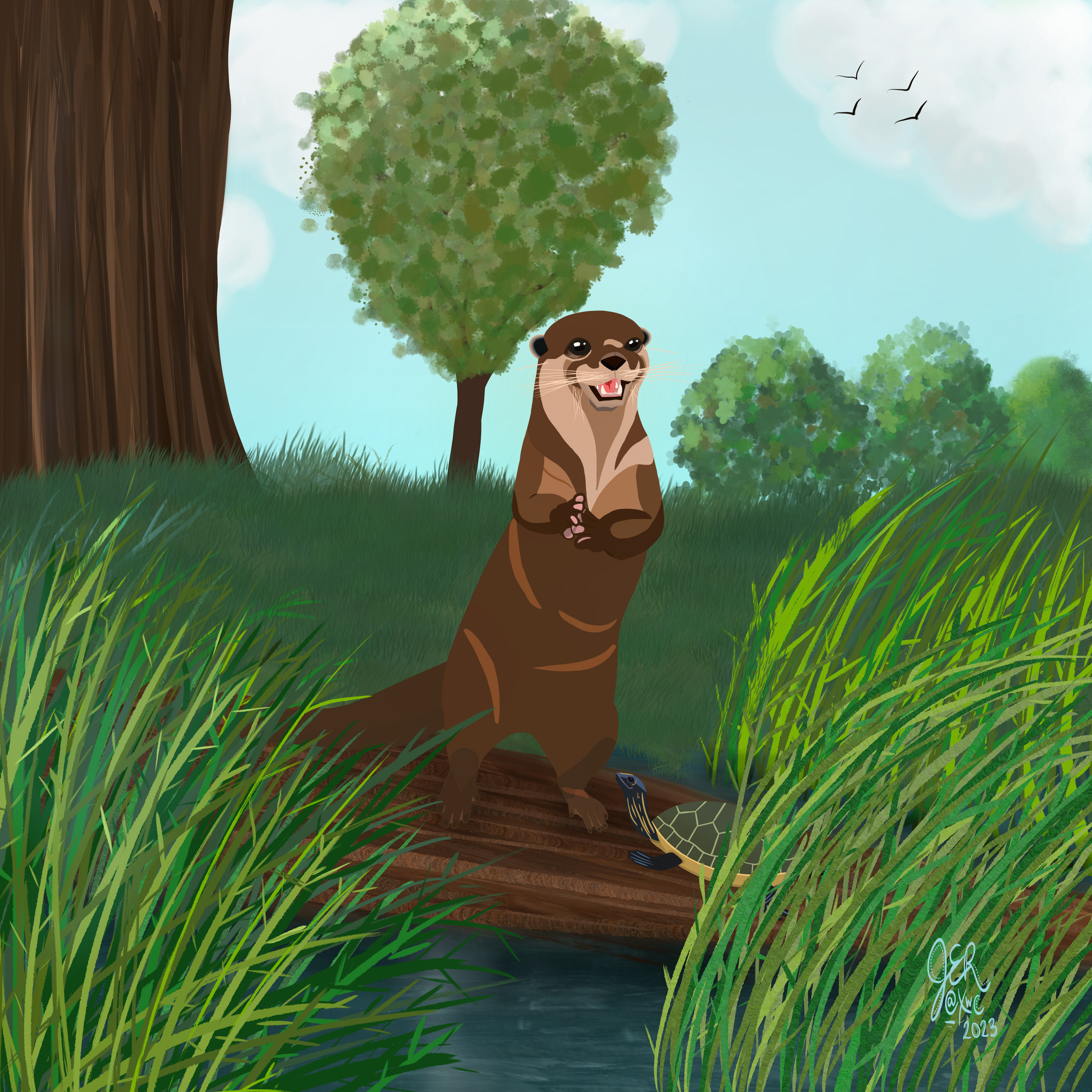 Otter in the Grass Created in Procreate