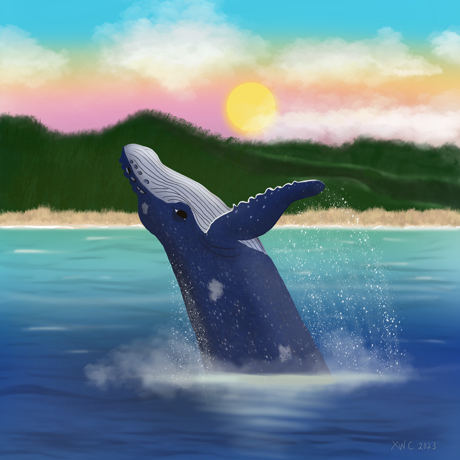 Humpback Whale Created in Procreate