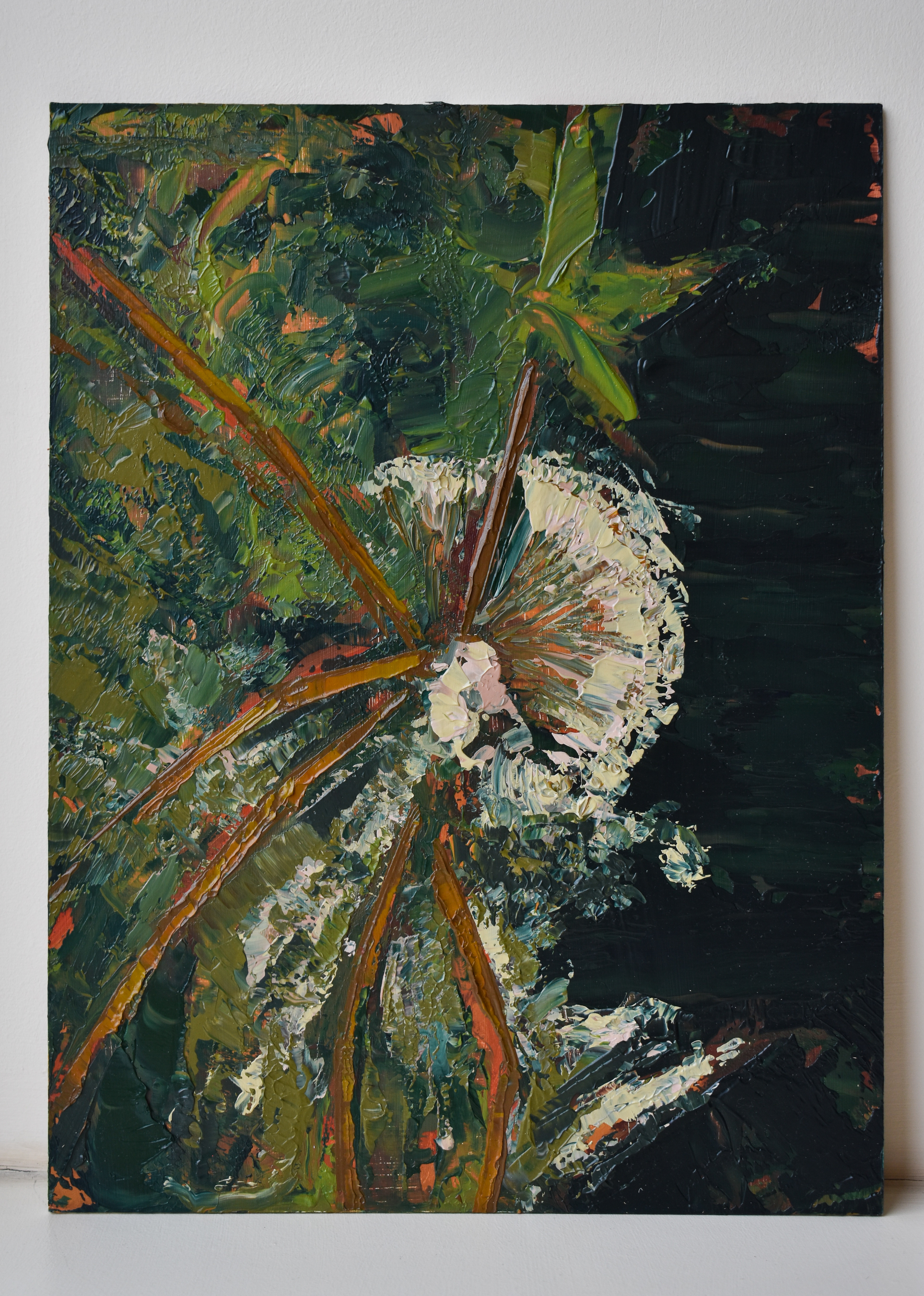 Cherry Blossoms. Oil on MDF board. 30 x 40cm. Not for Sale